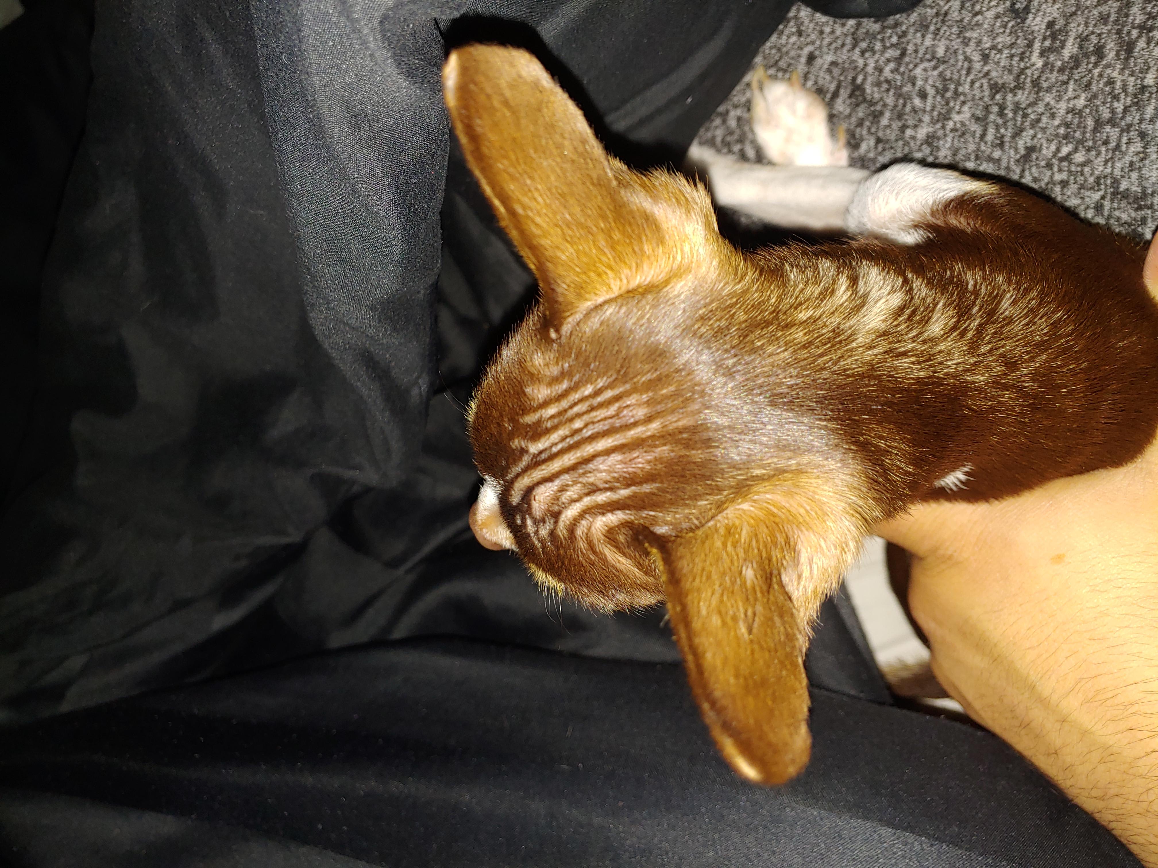 Question details sensitive content