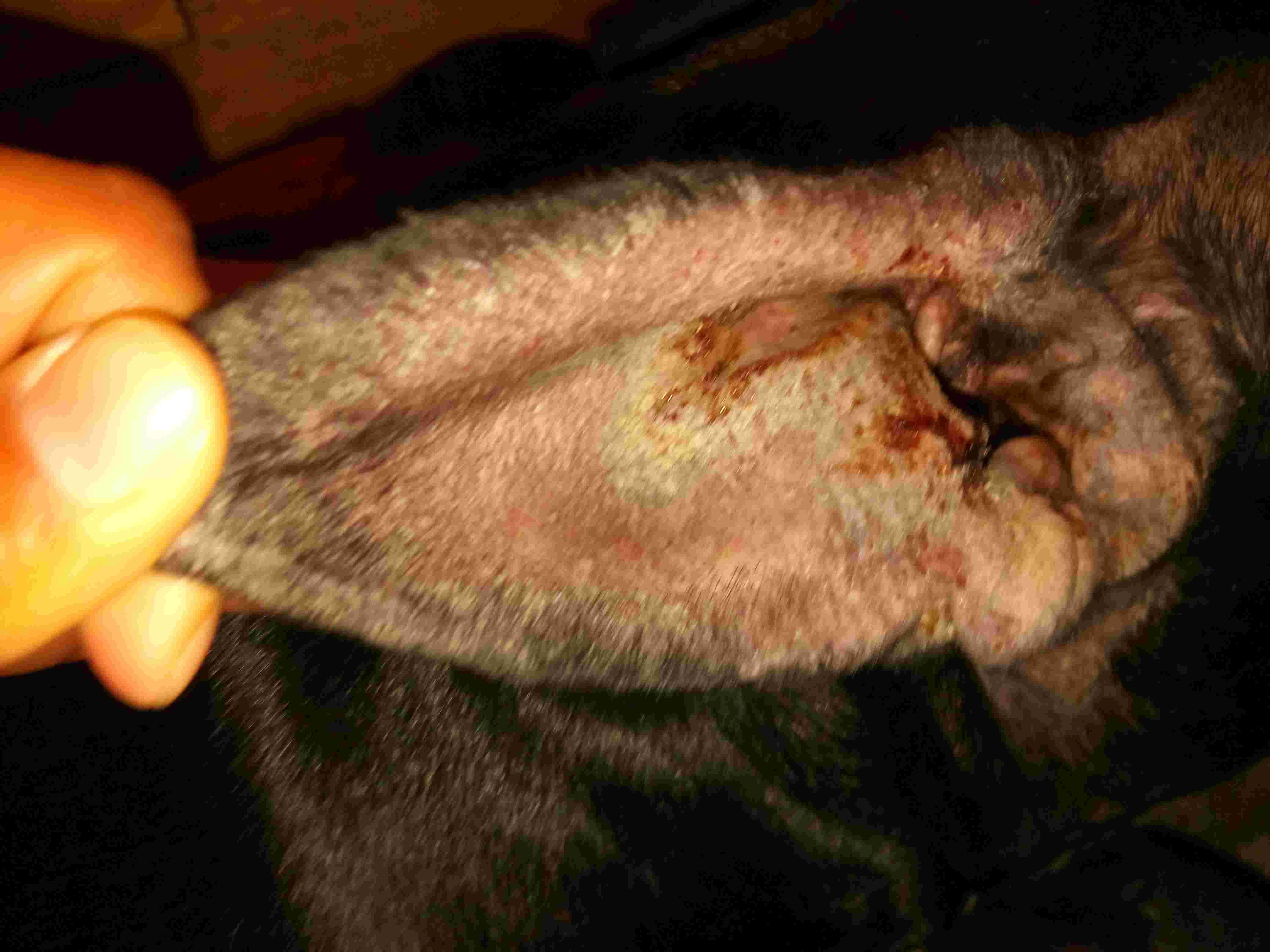 Question details sensitive content