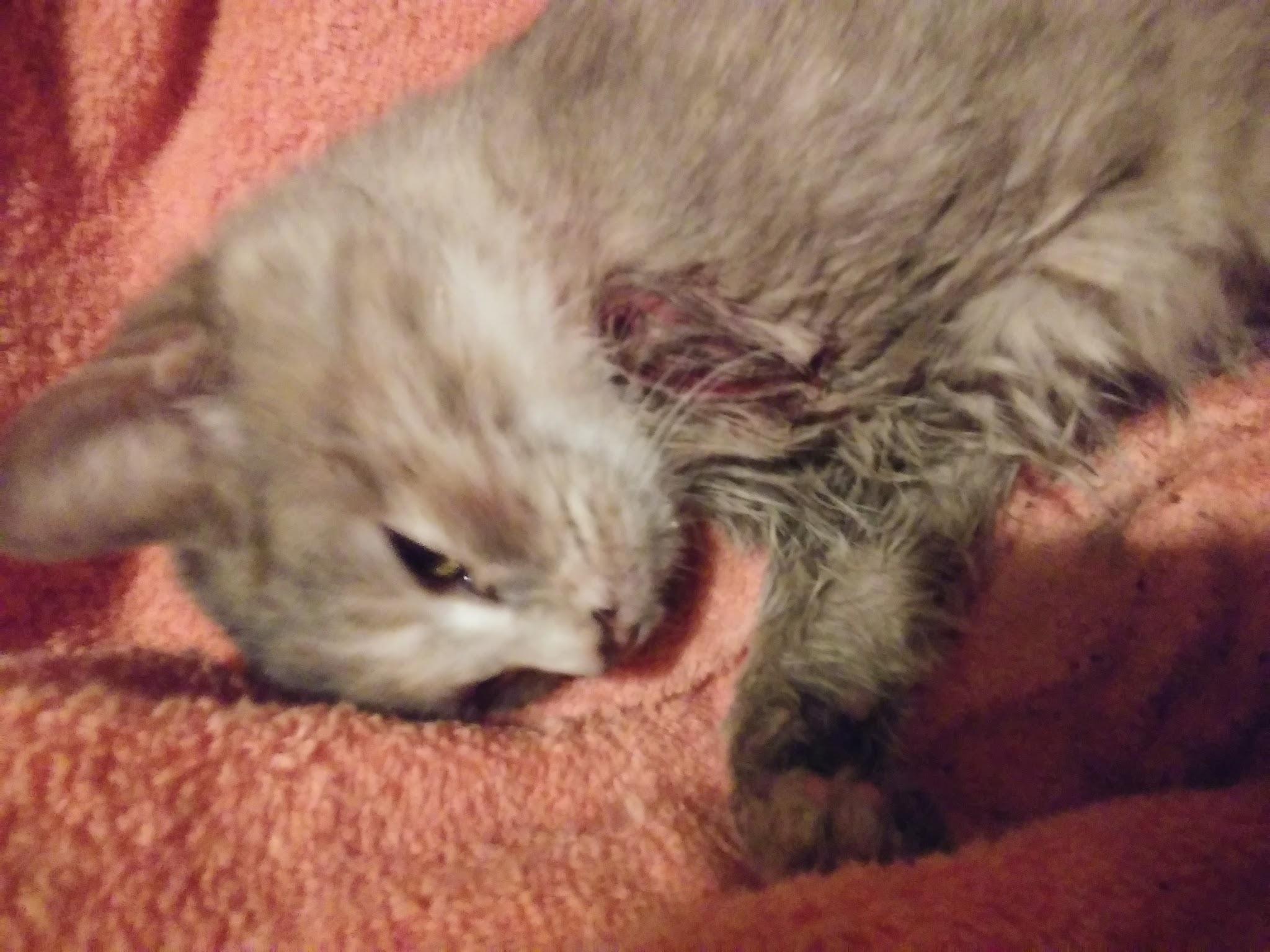 Question details sensitive content