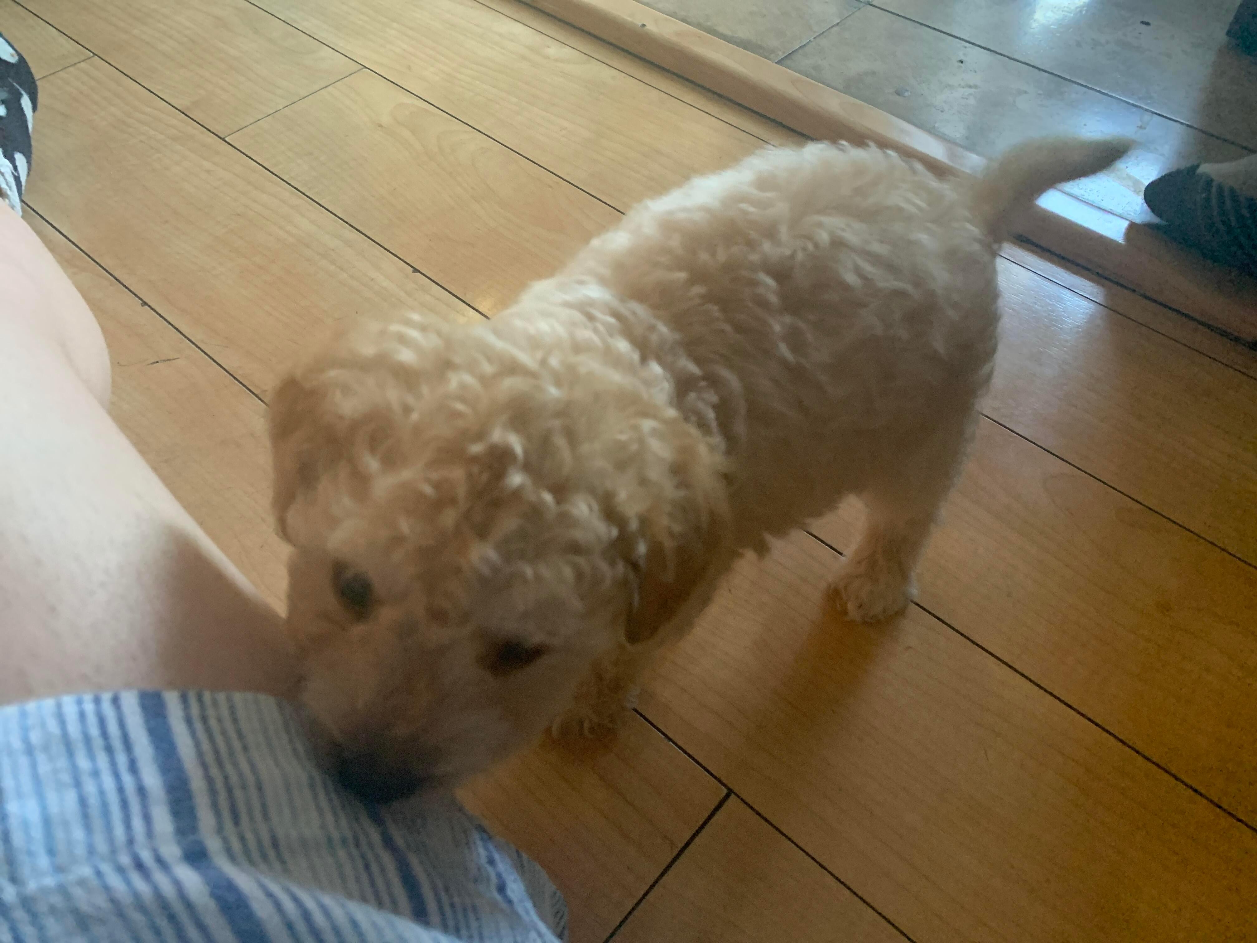 Question details sensitive content