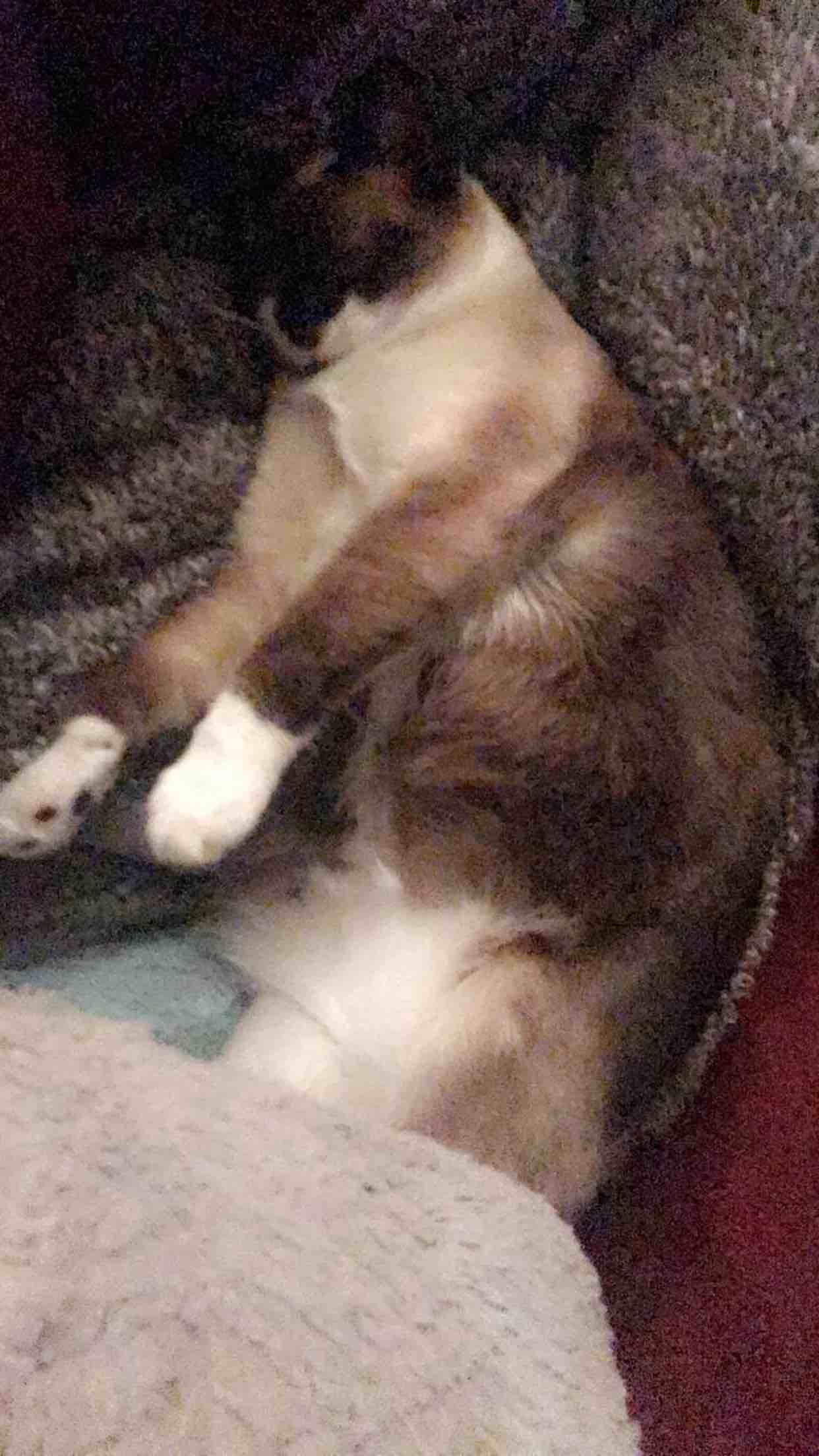 Question details sensitive content