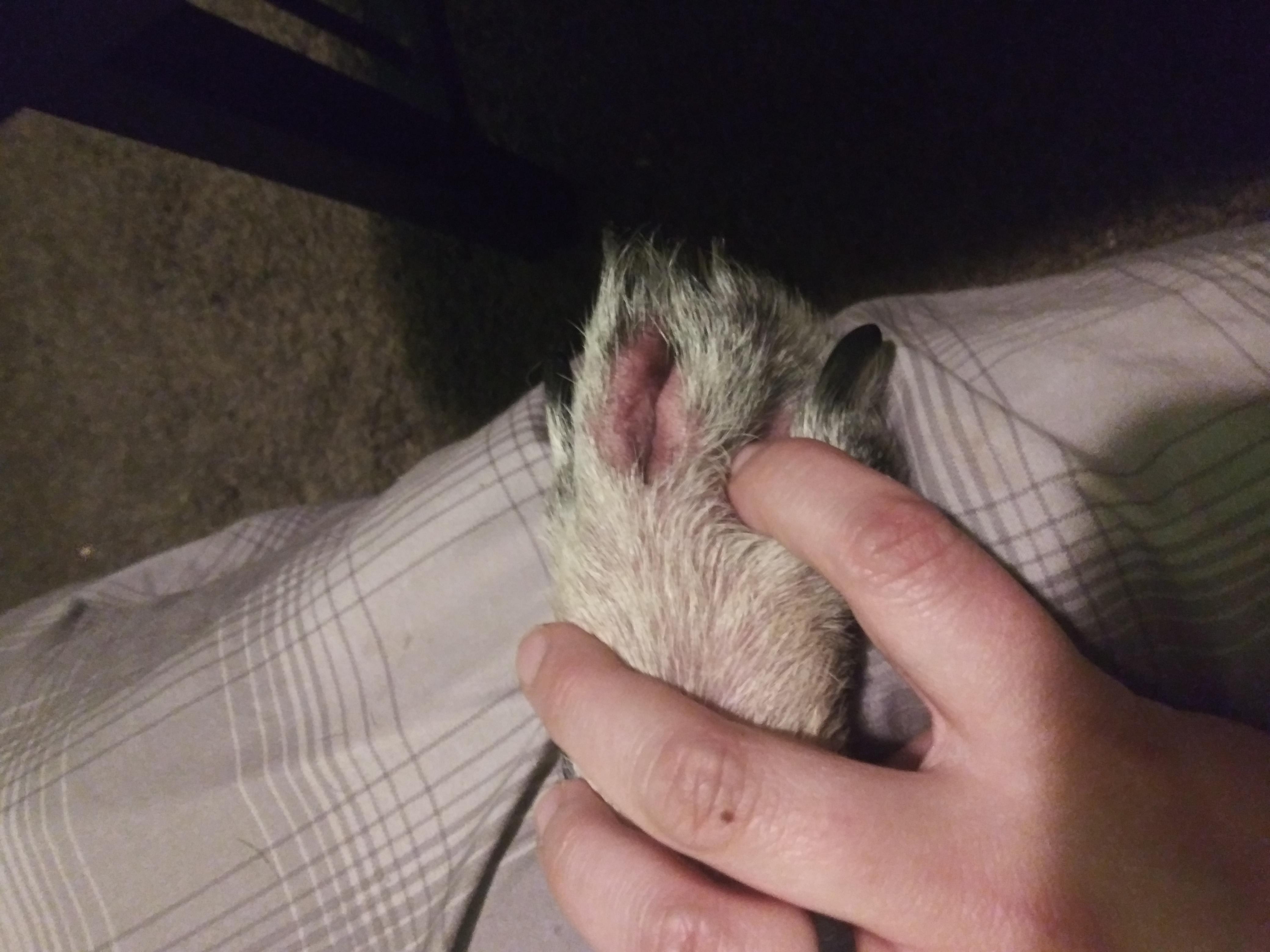 Question details sensitive content