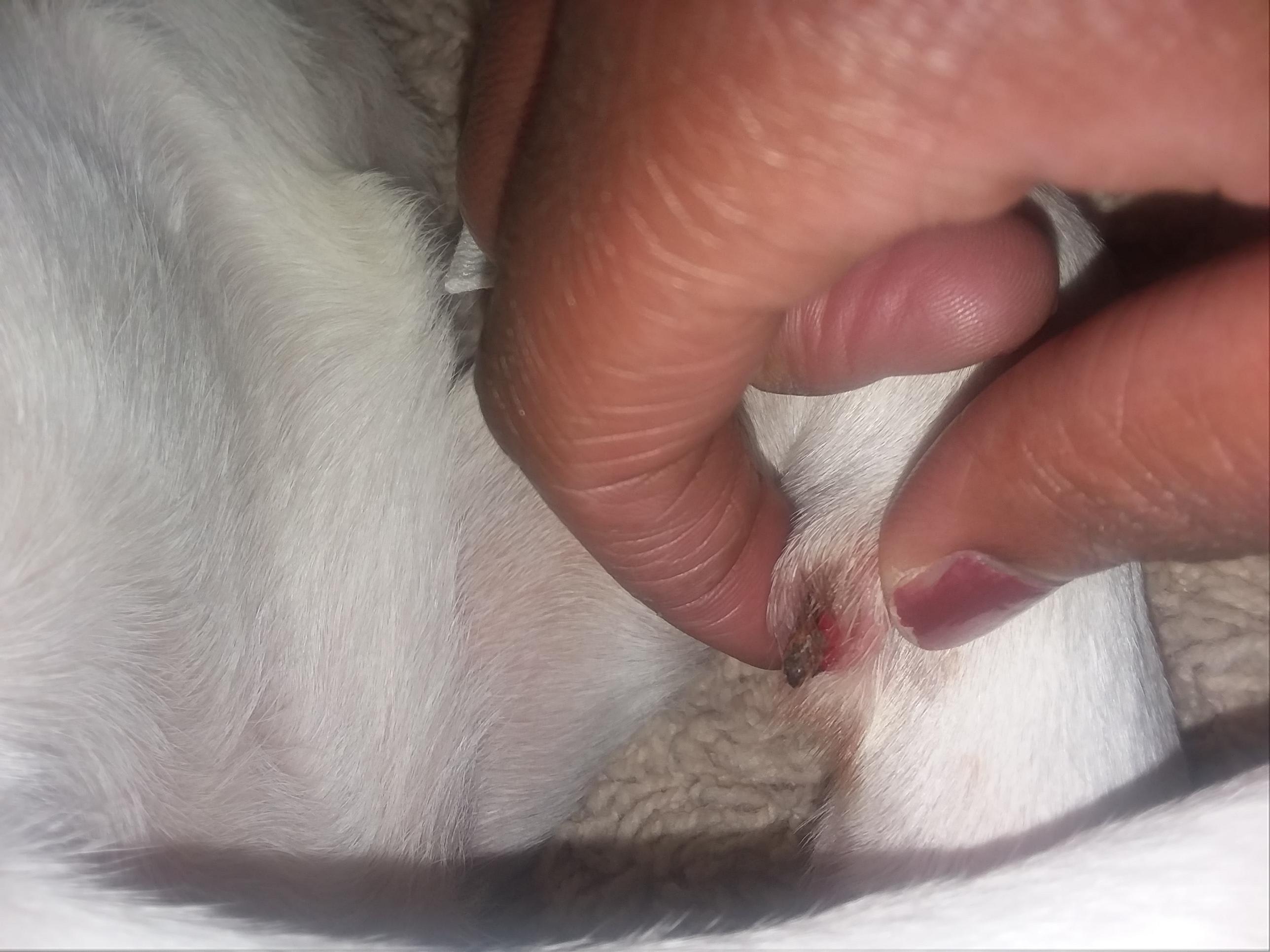 Question details sensitive content