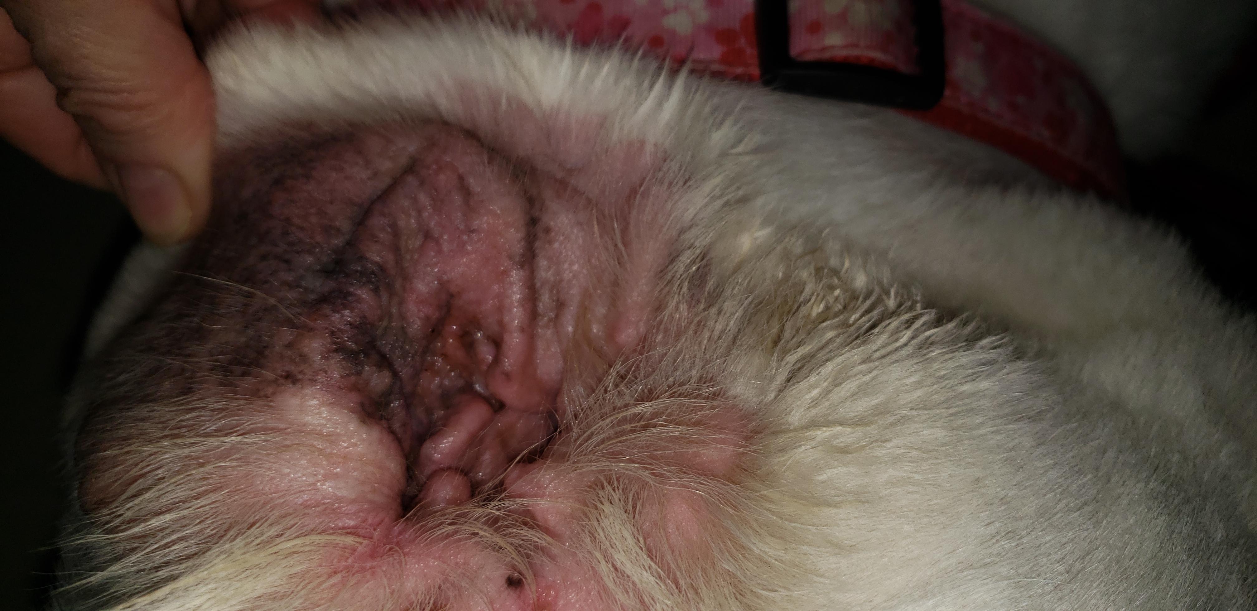 Question details sensitive content