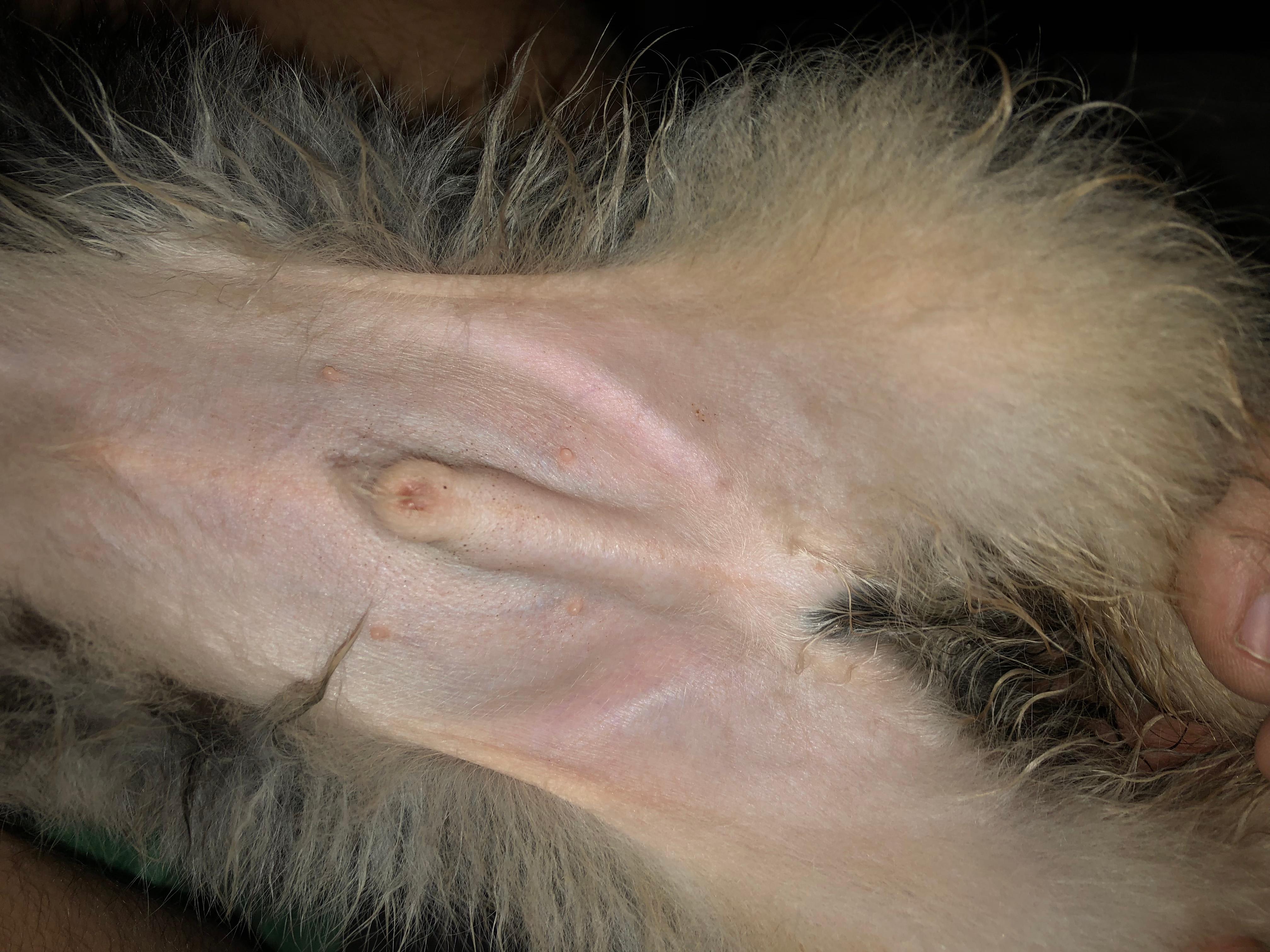 Question details sensitive content