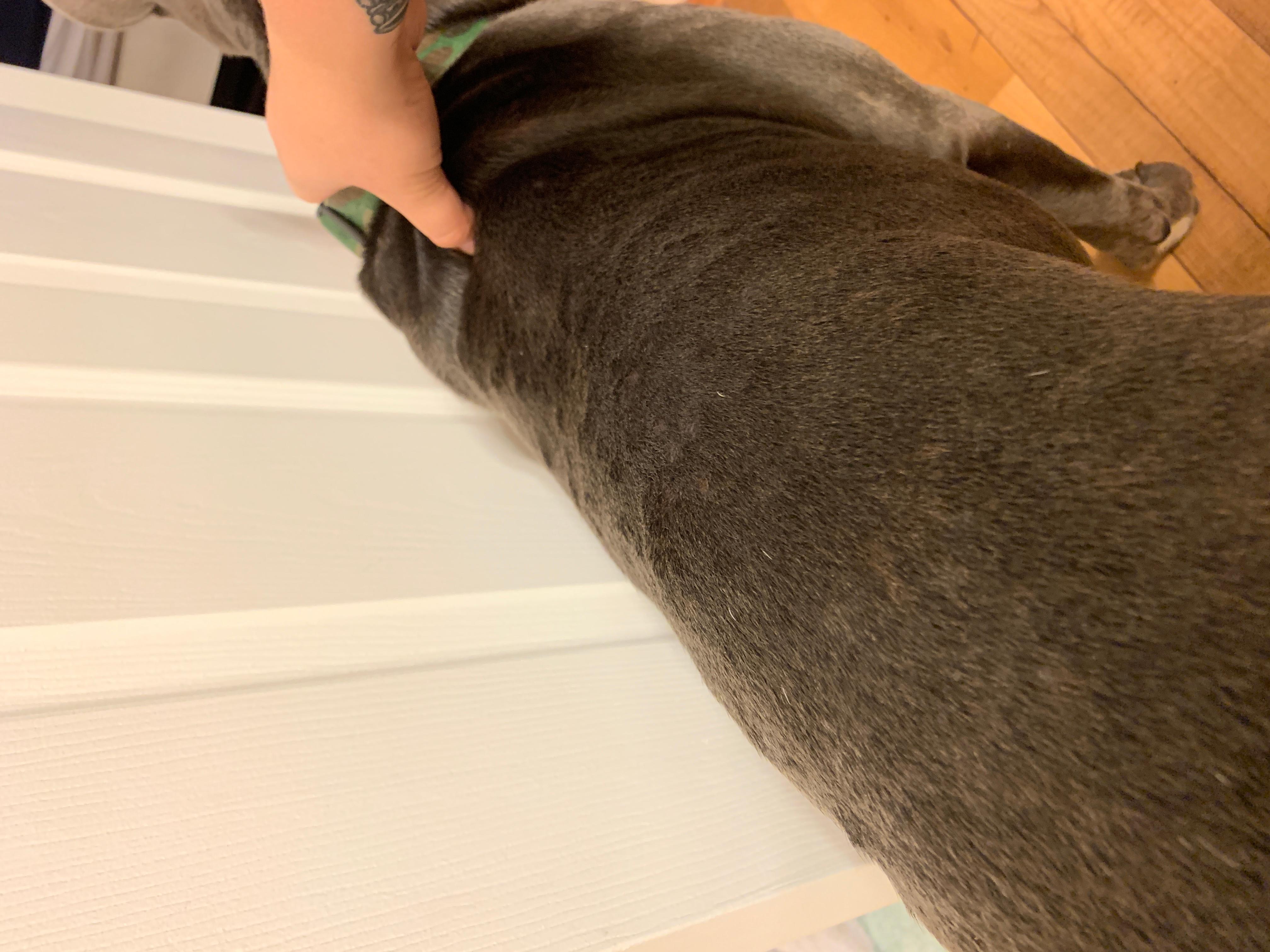 Question details sensitive content