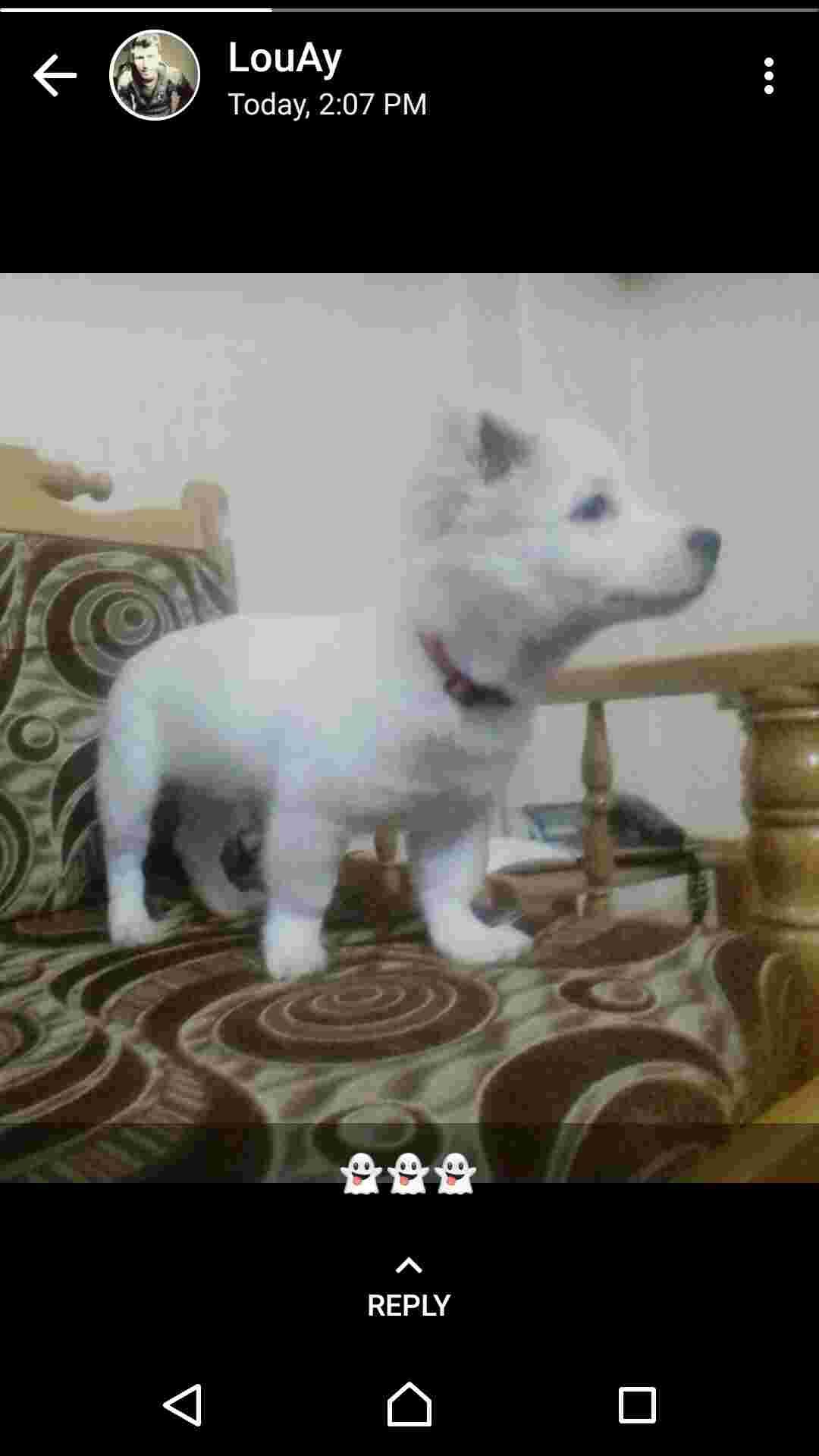 Question details sensitive content