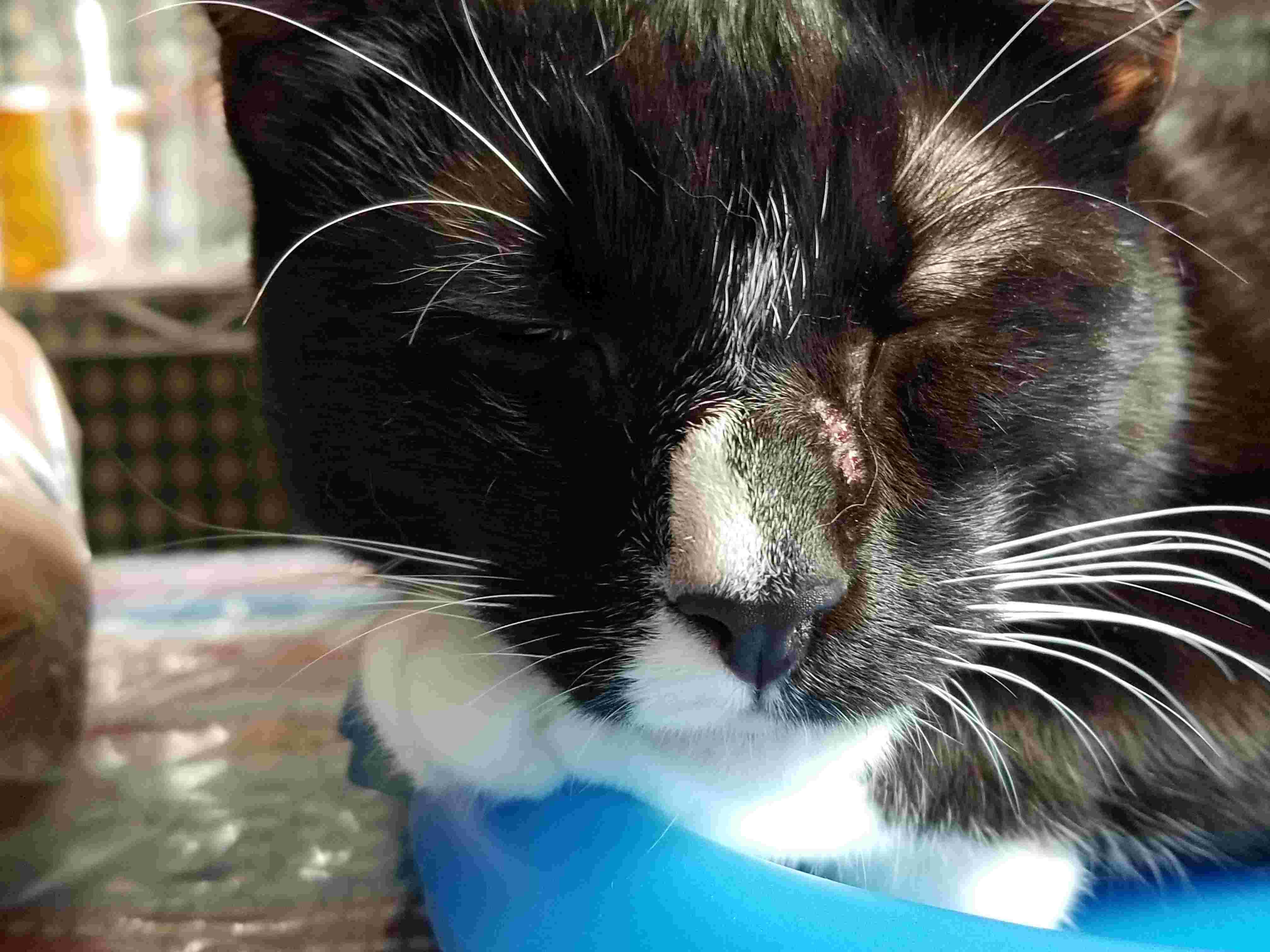 Question details sensitive content