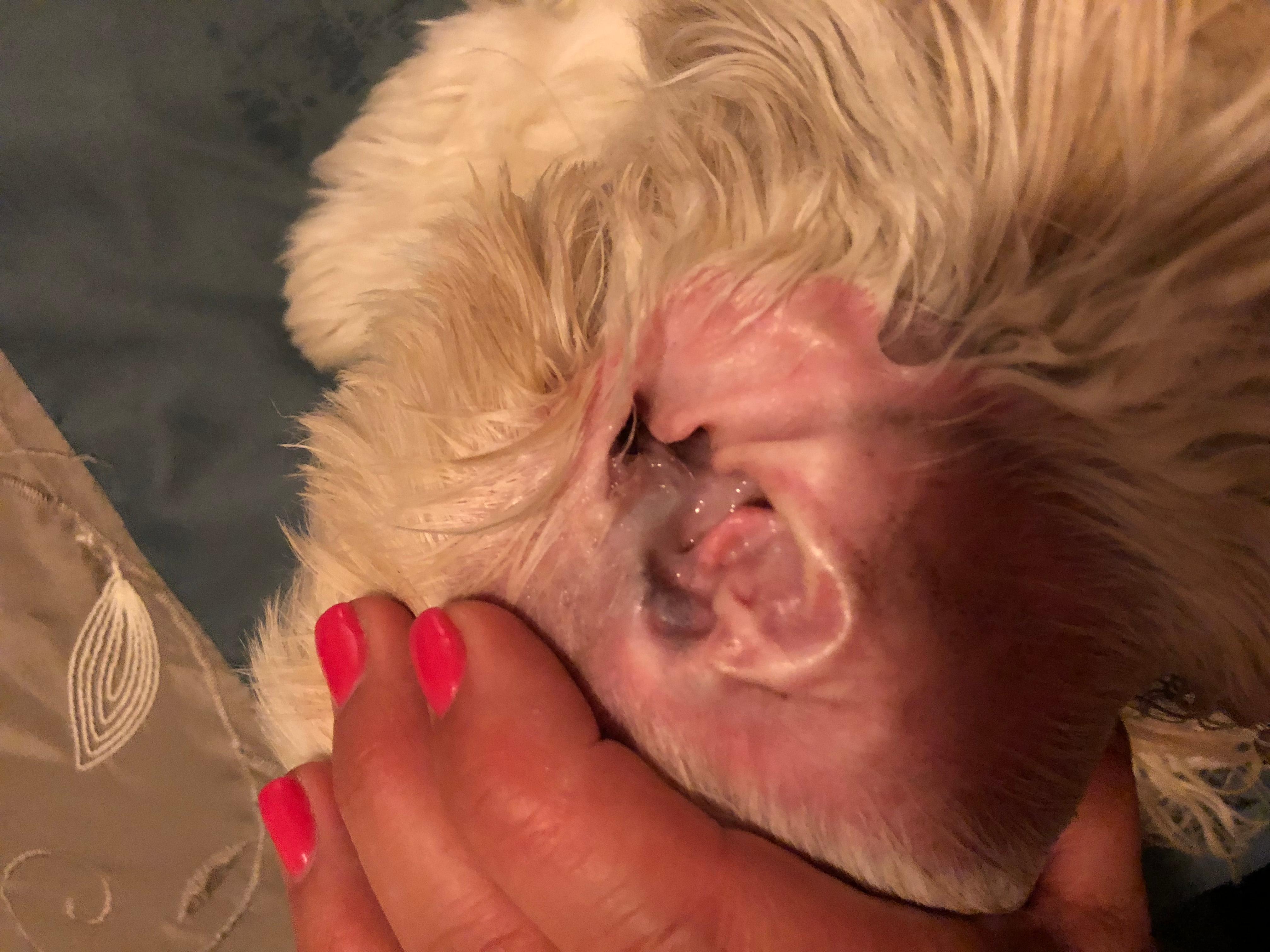 Question details sensitive content