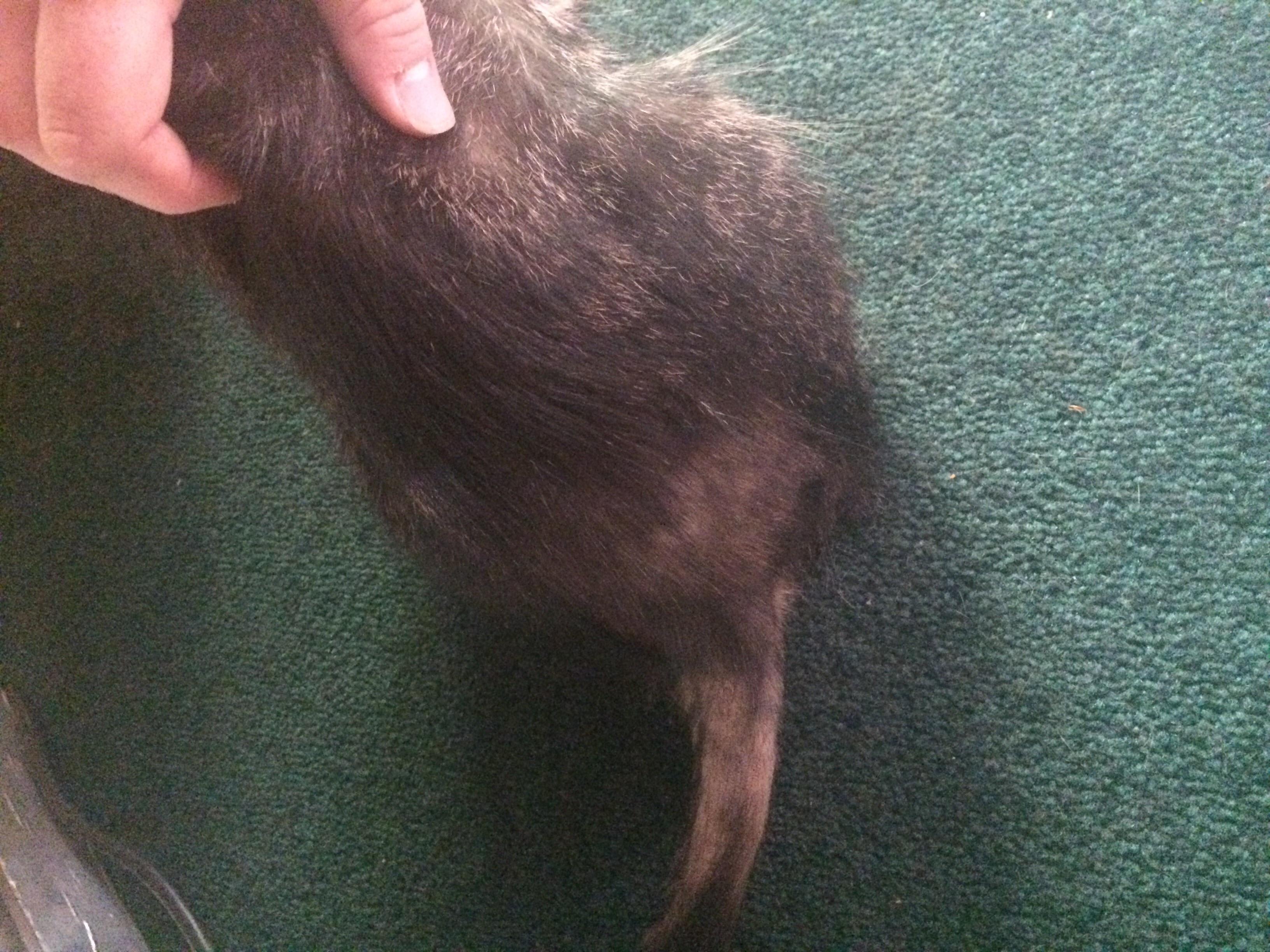 Question details sensitive content