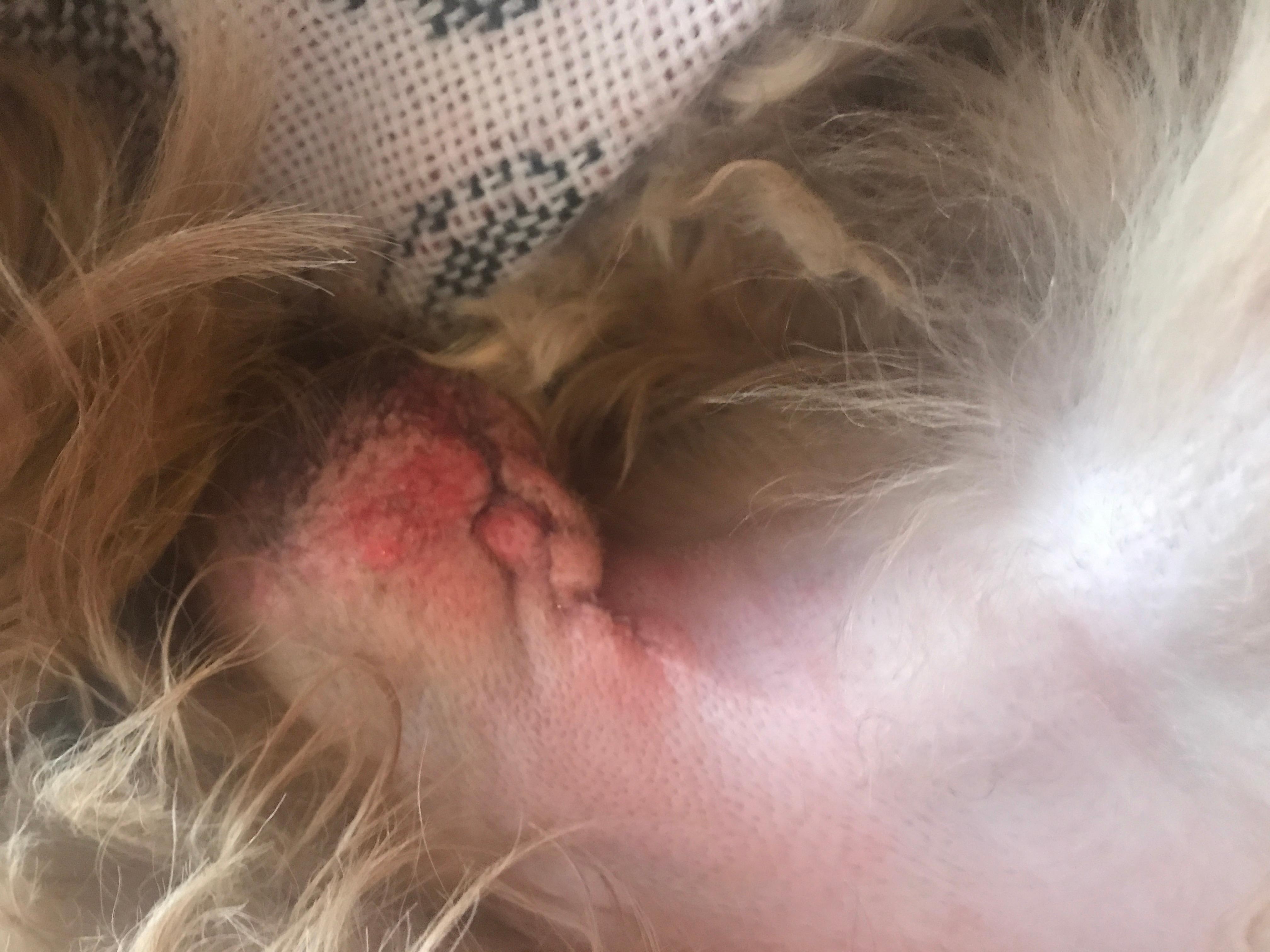 Question details sensitive content