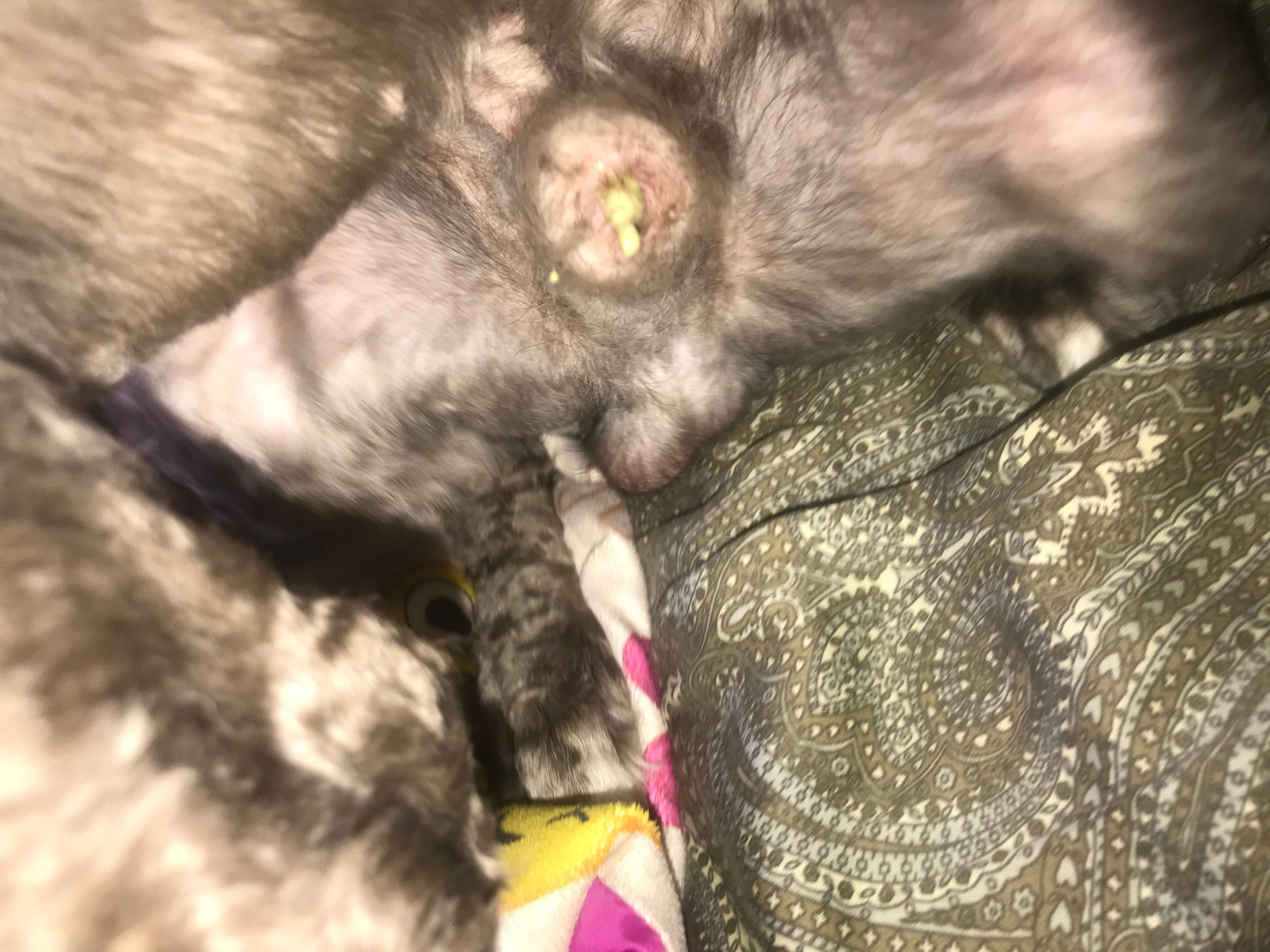 Question details sensitive content