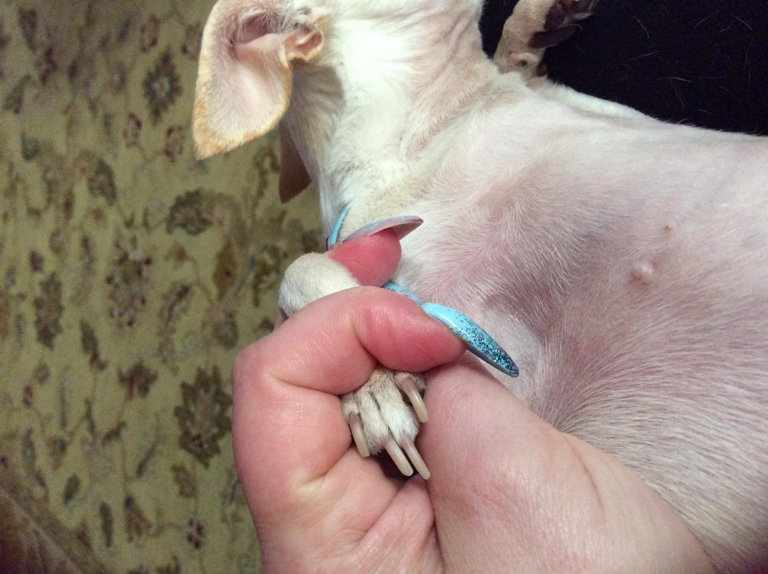 Question details sensitive content