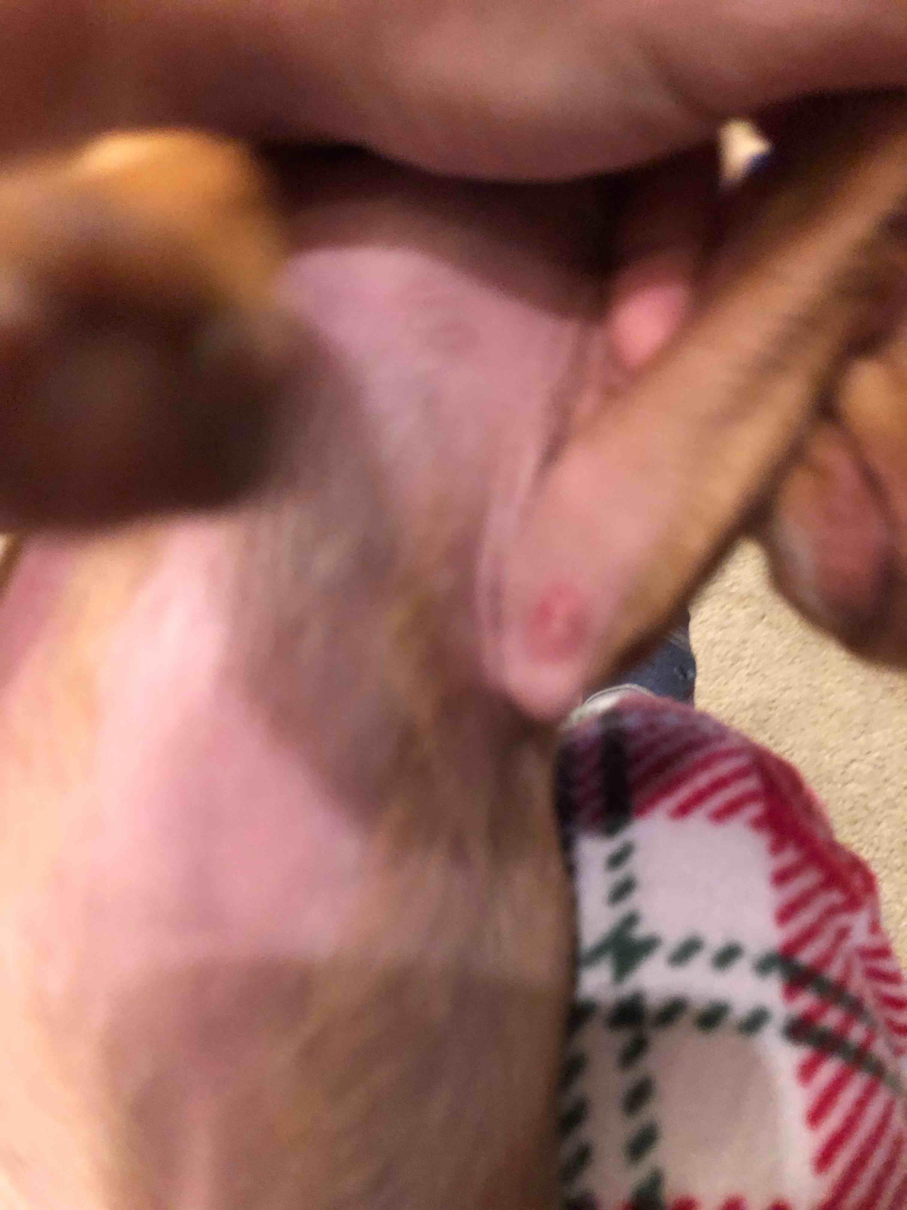 Question details sensitive content