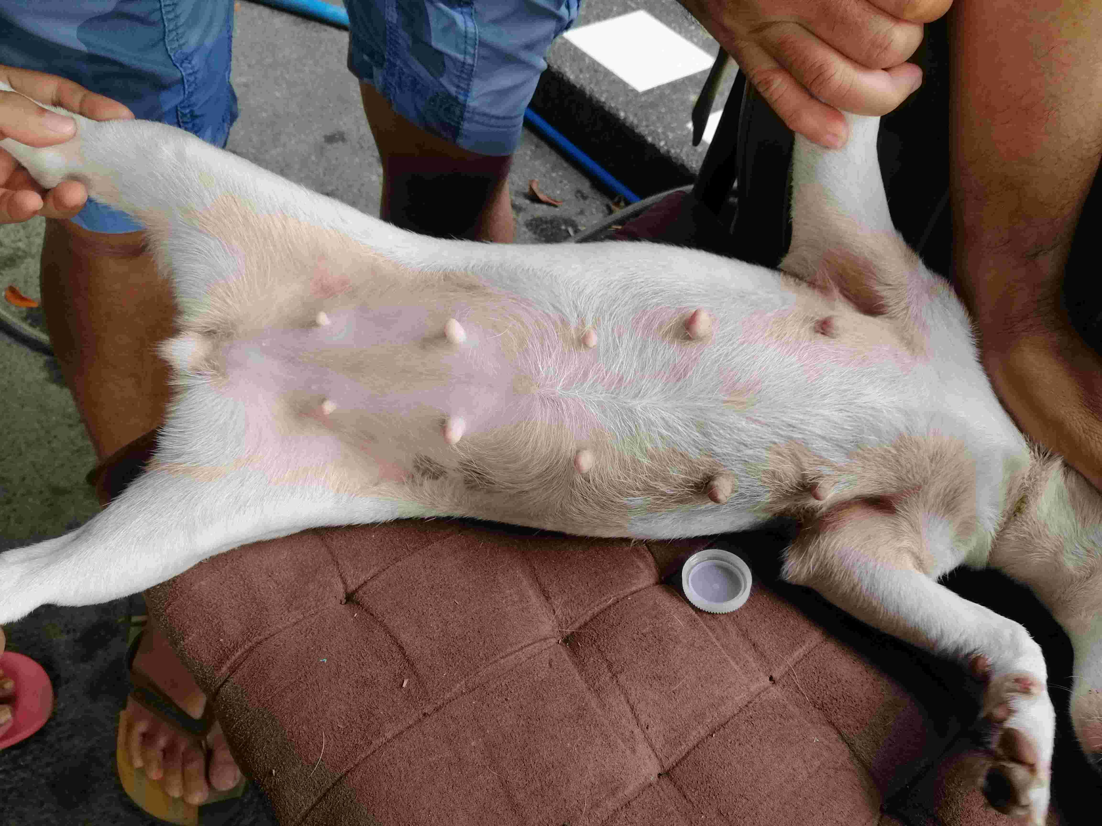 Question details sensitive content