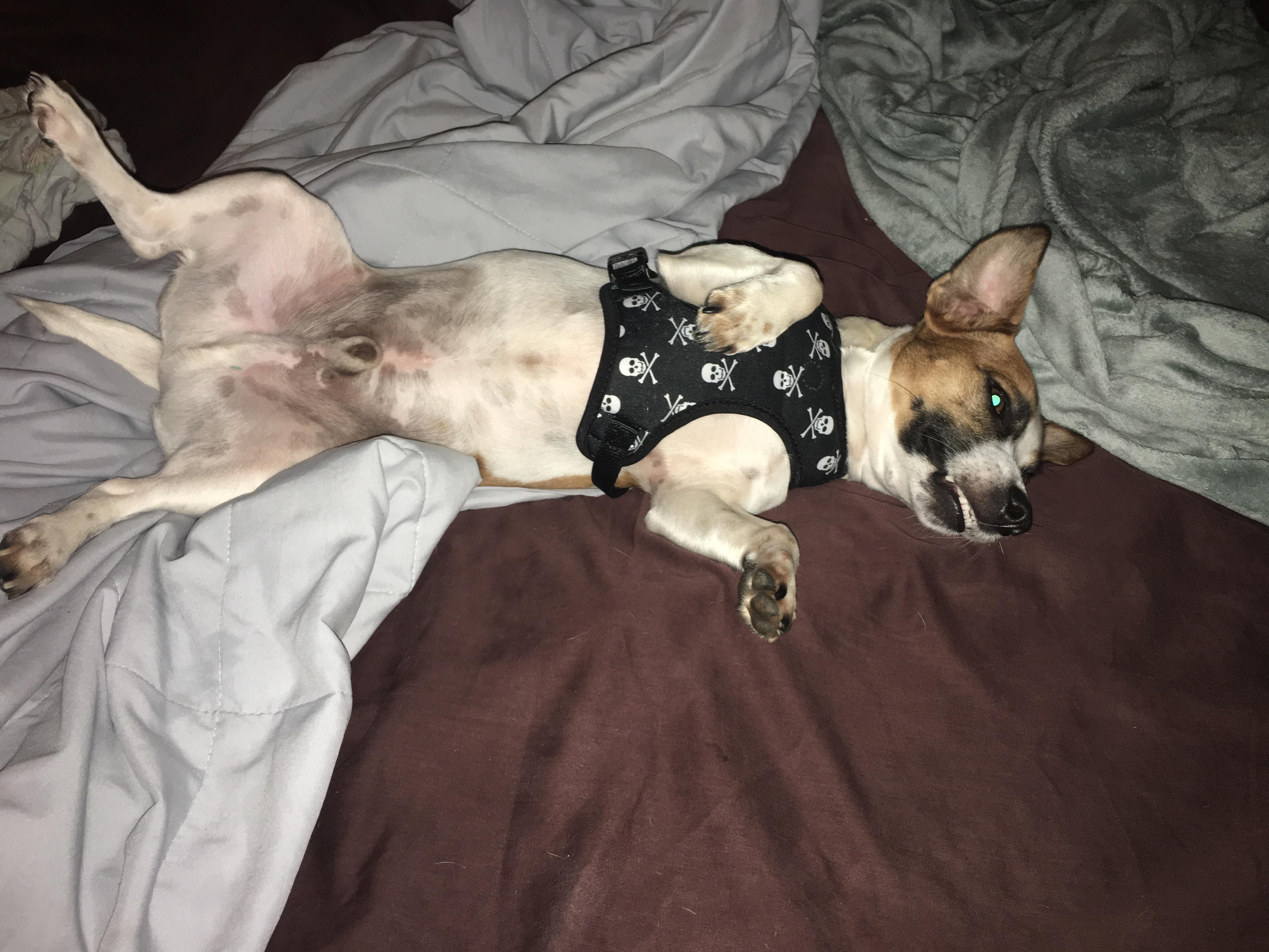 Question details sensitive content