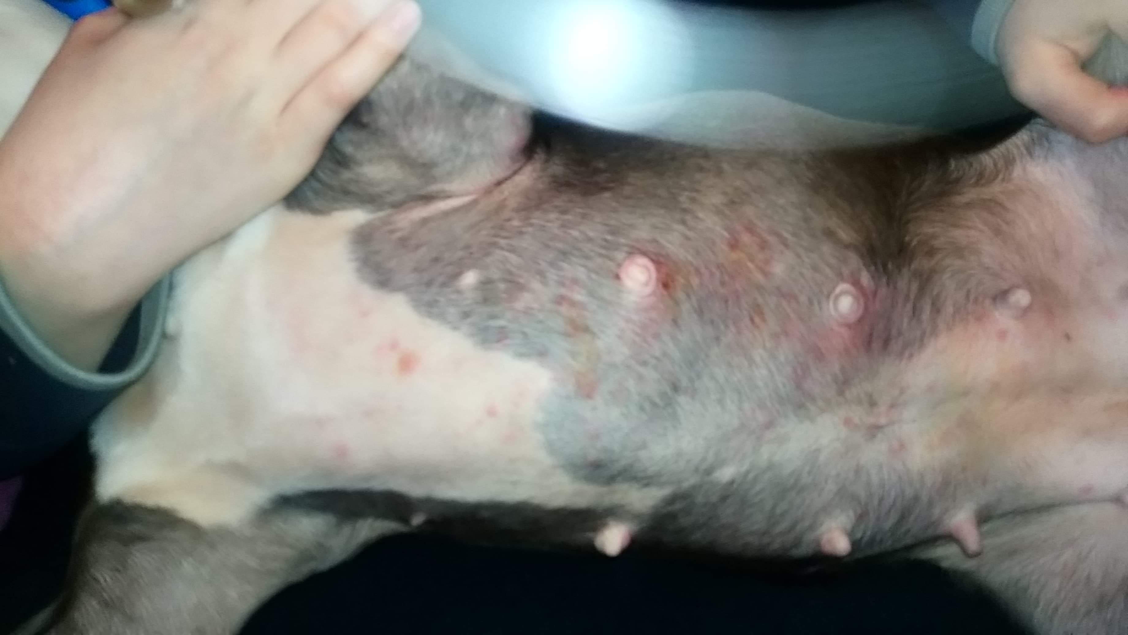 Question details sensitive content