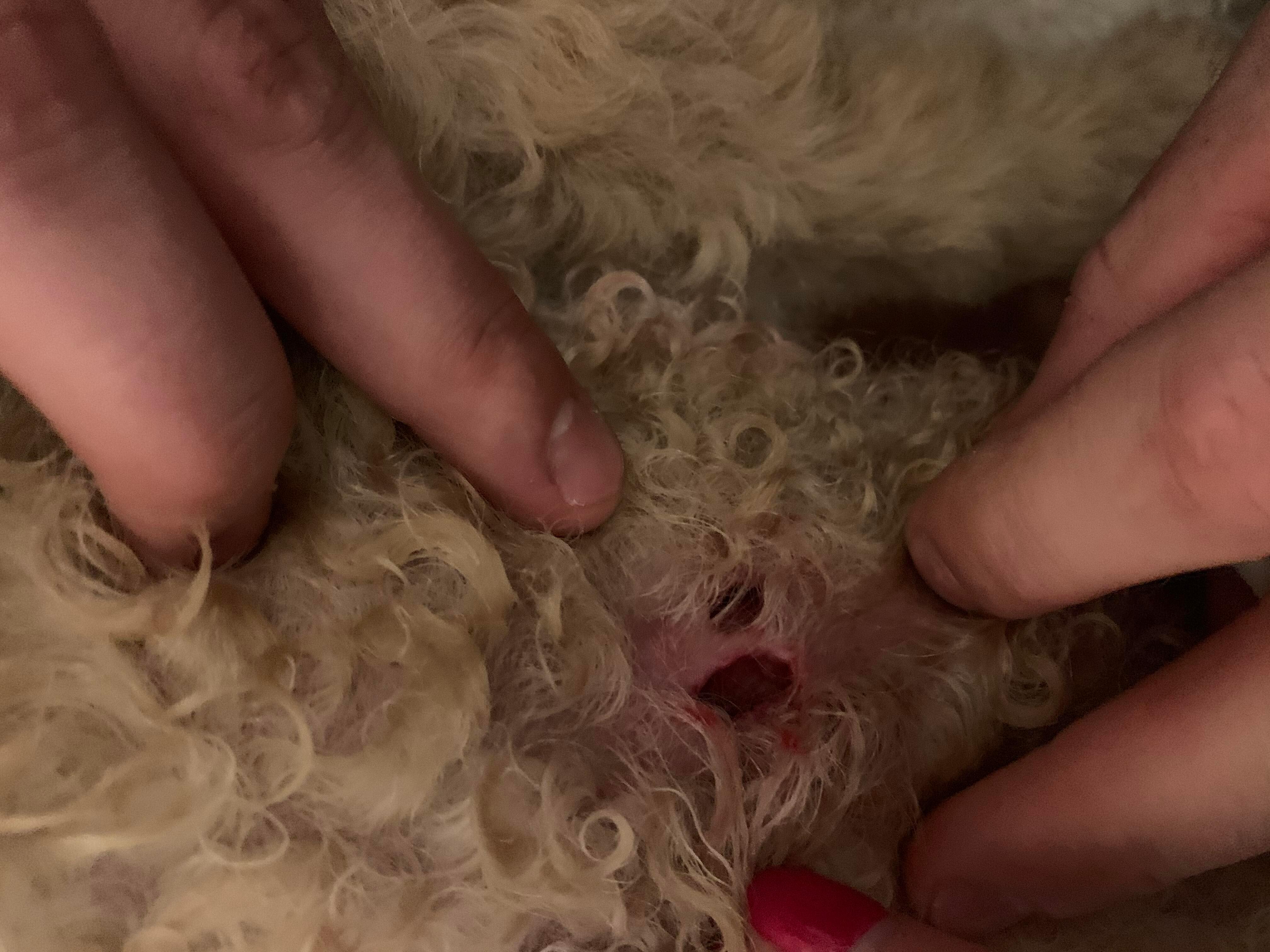 Question details sensitive content