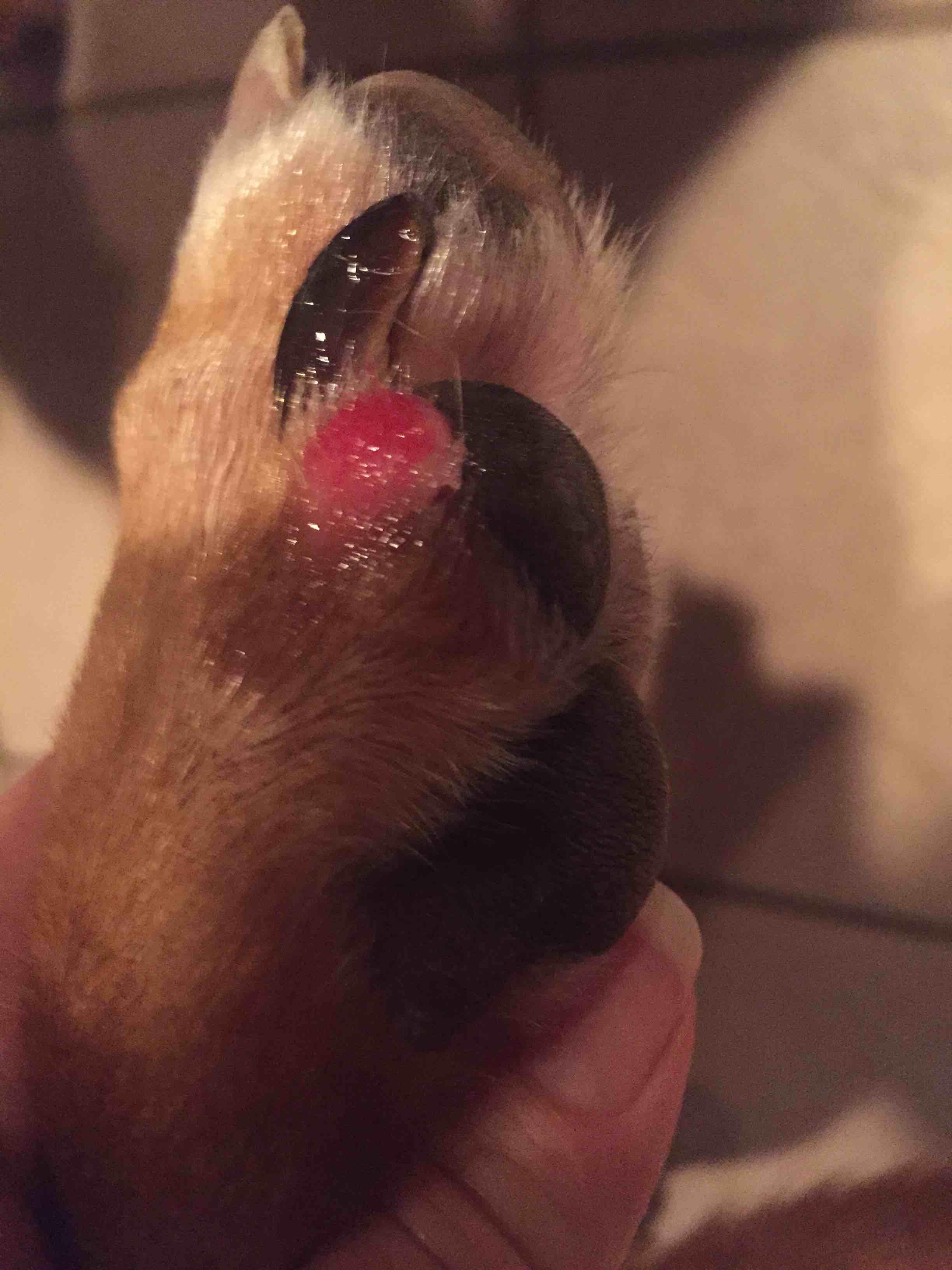 Question details sensitive content