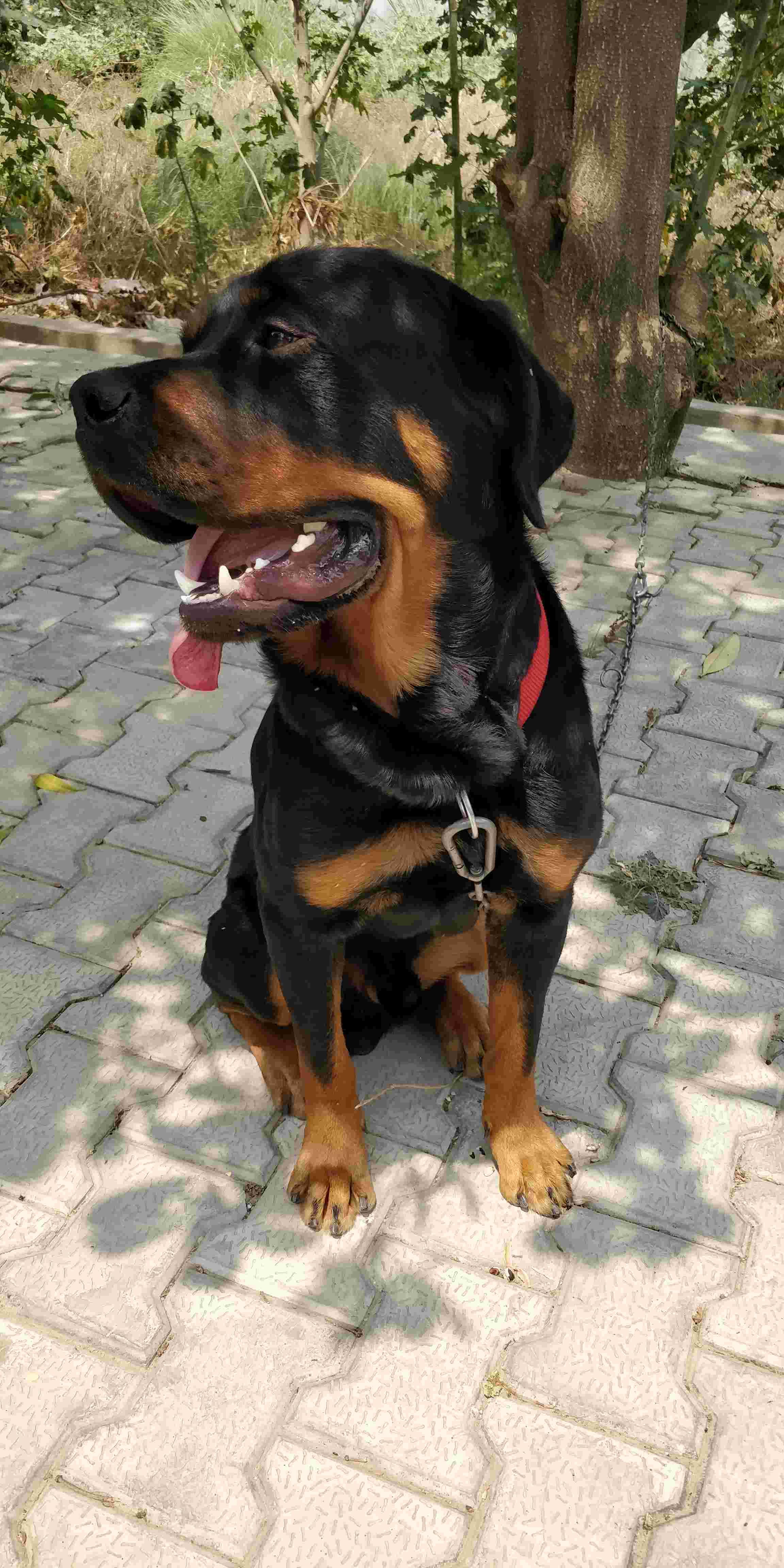 Question details sensitive content