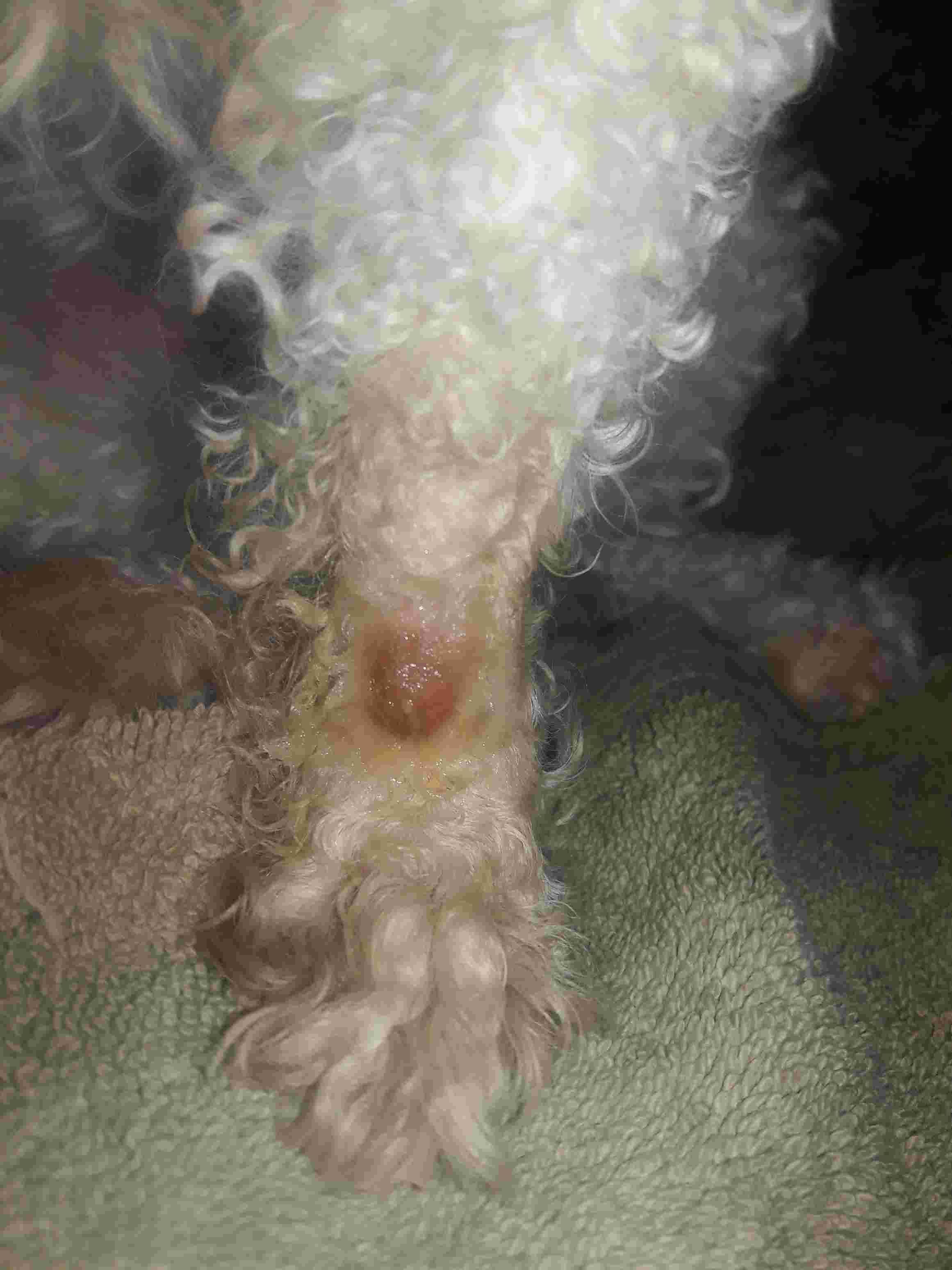 Question details sensitive content