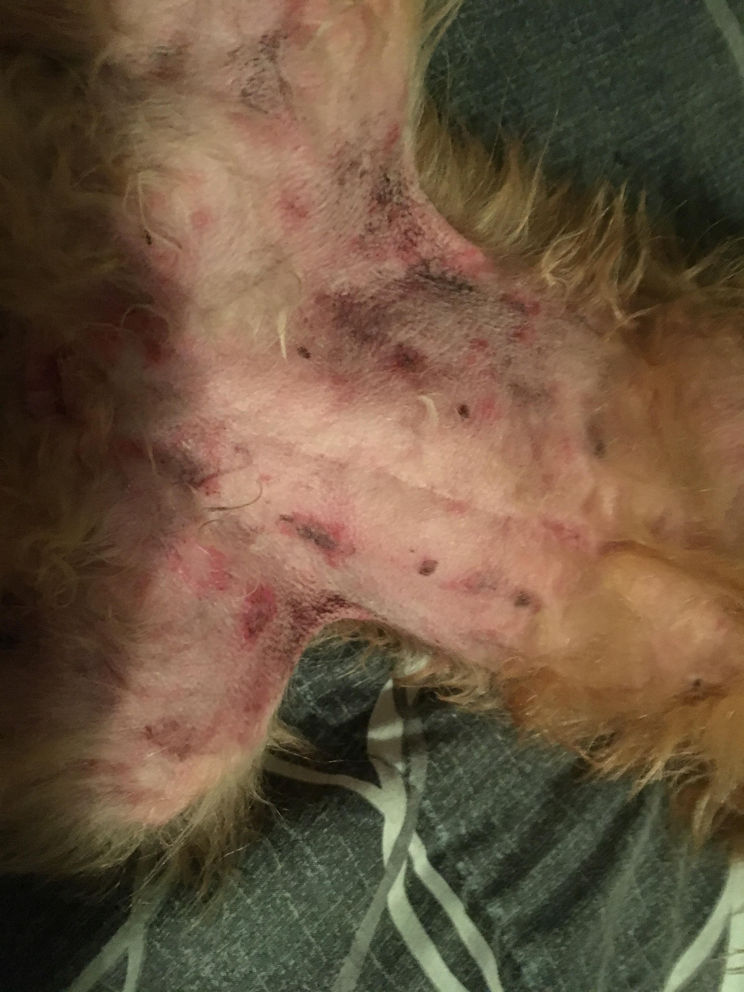 Question details sensitive content