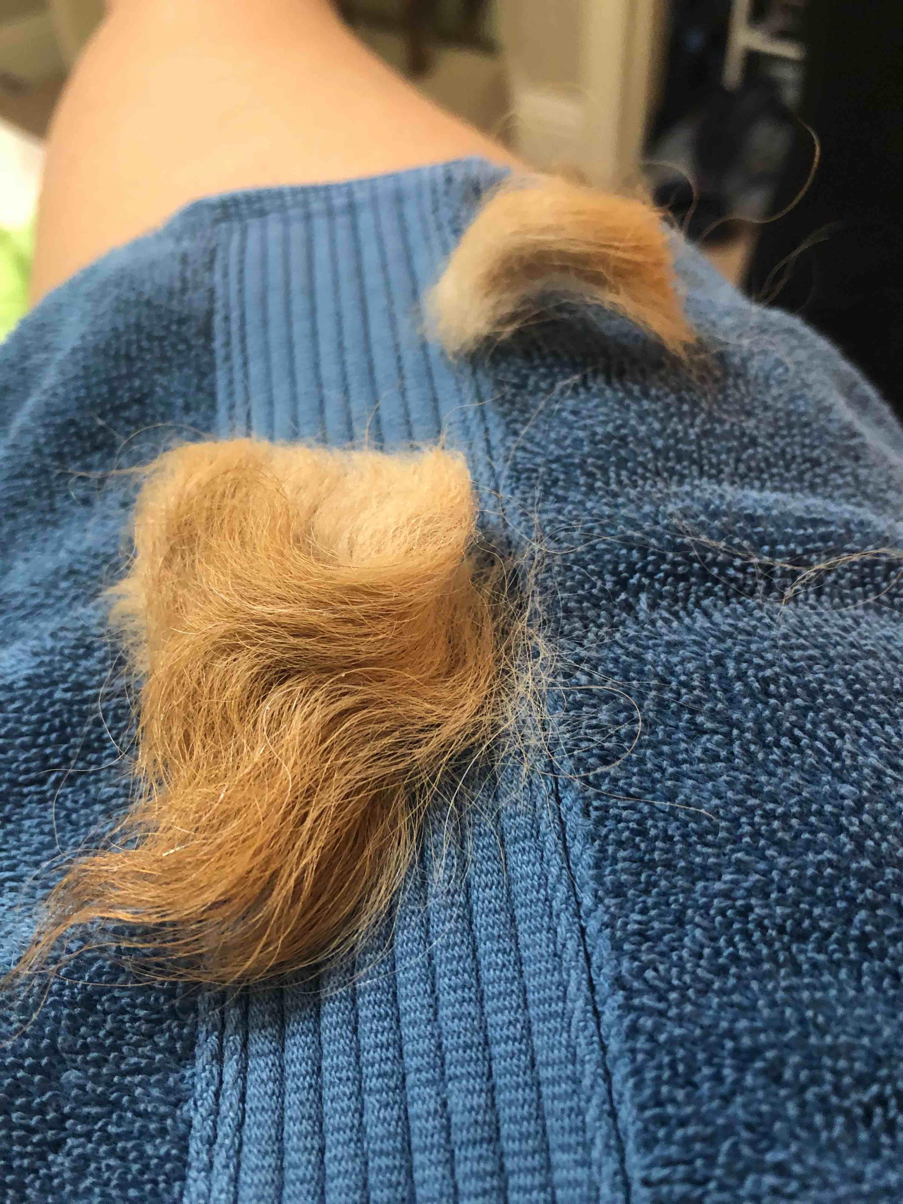 Question details sensitive content