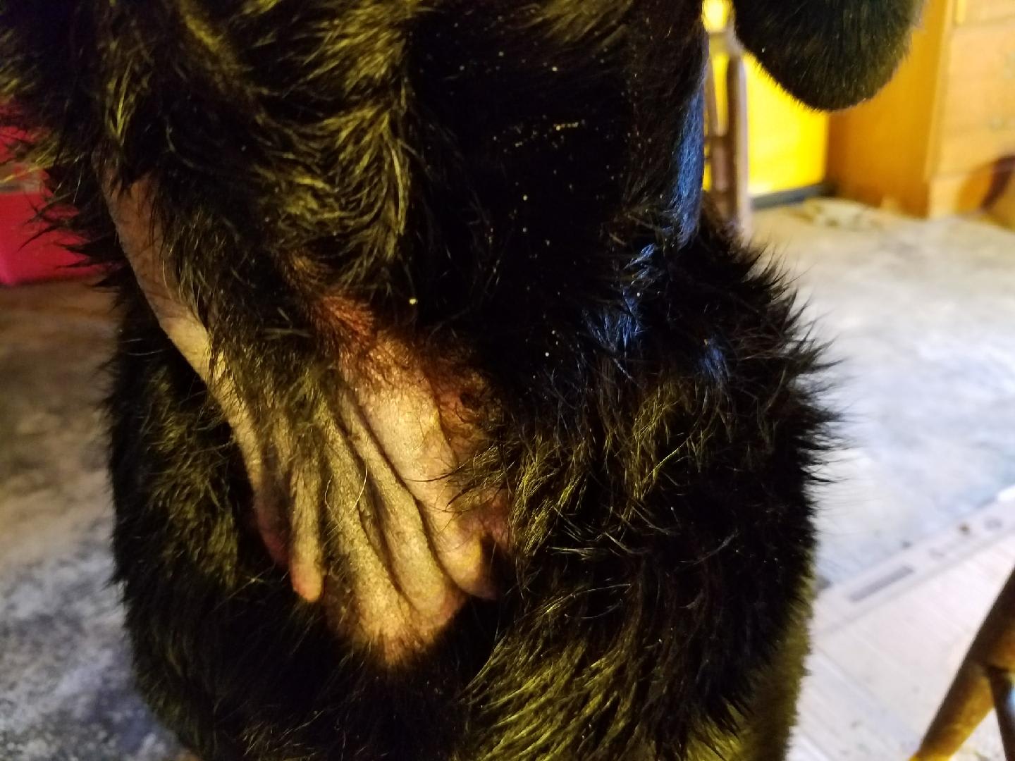 Question details sensitive content