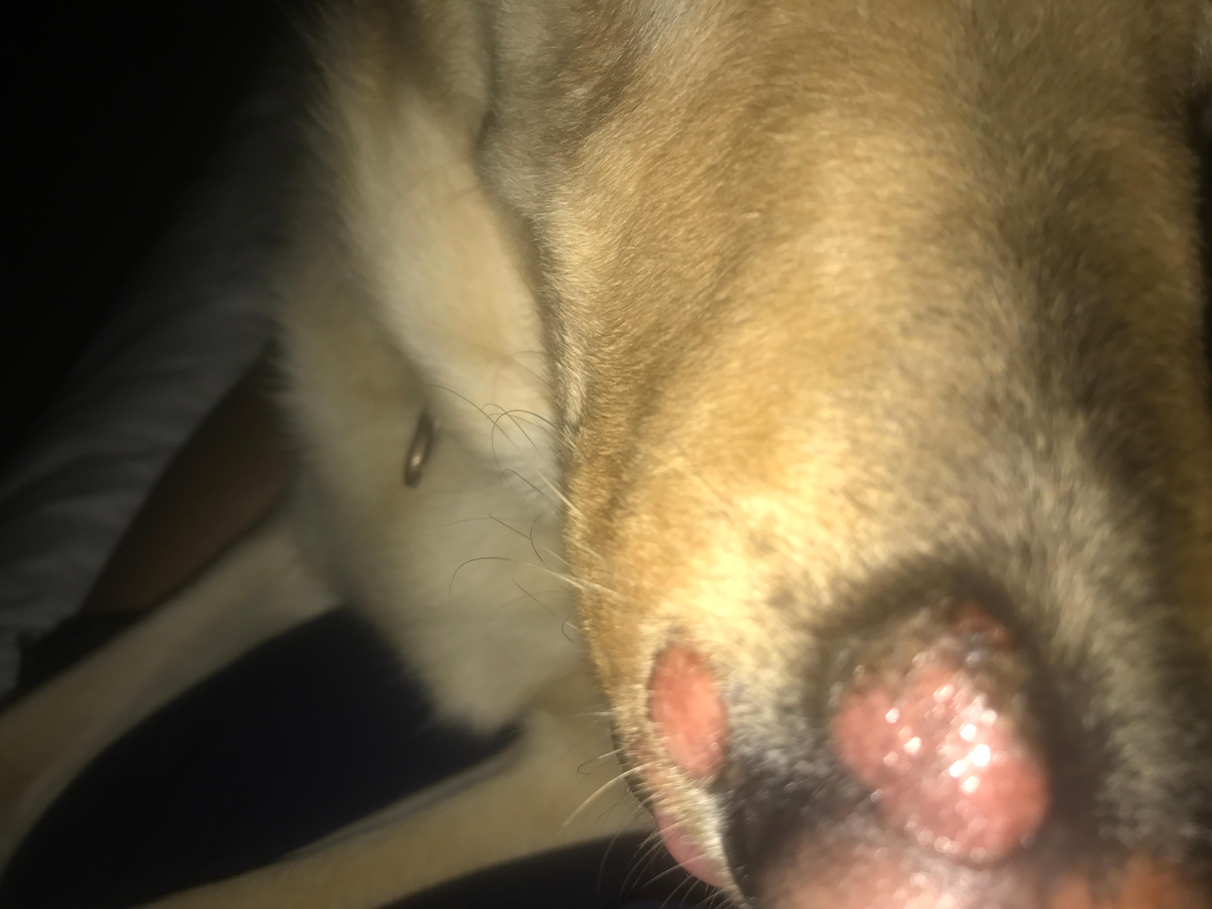 Question details sensitive content