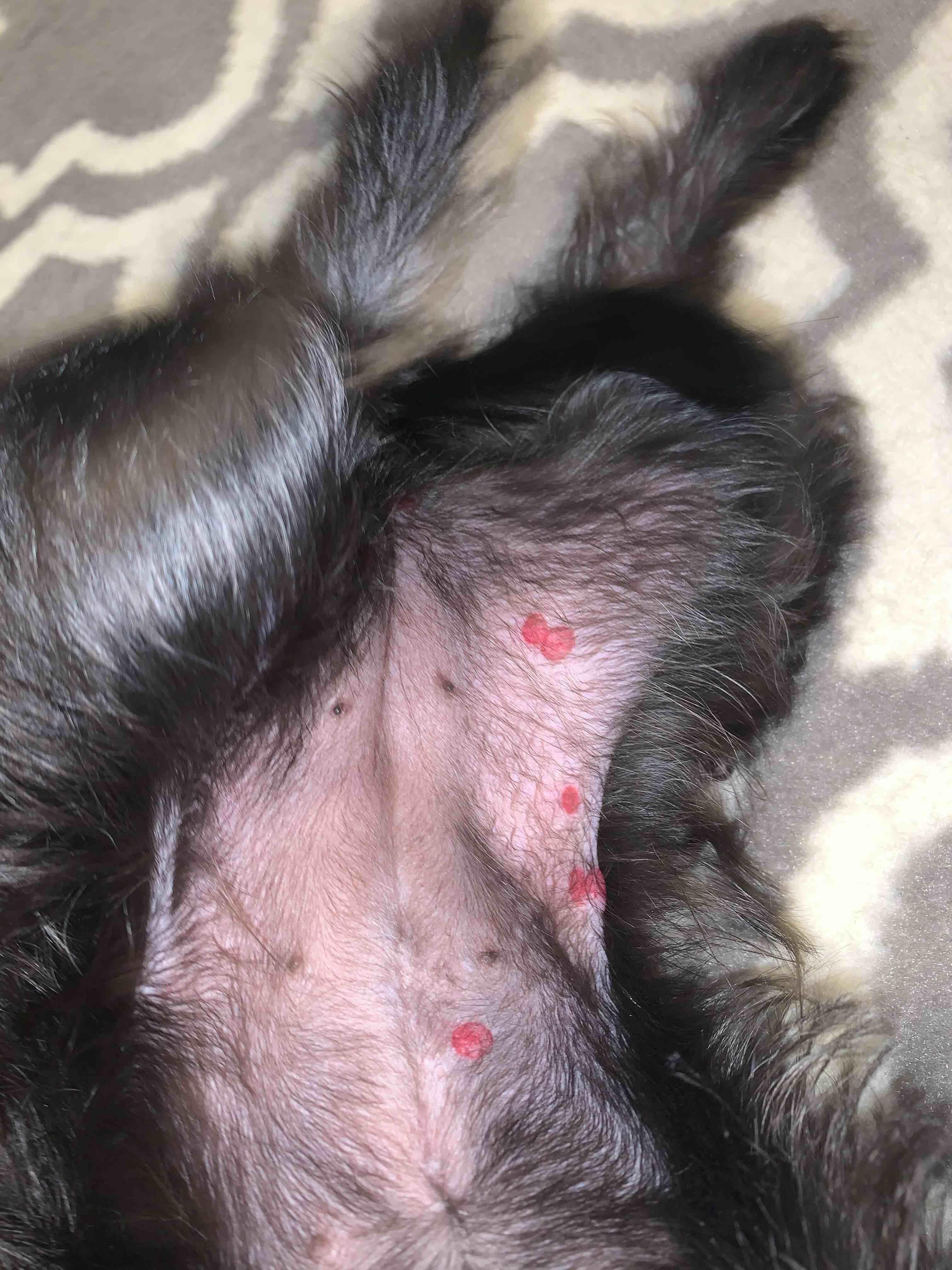 Question details sensitive content