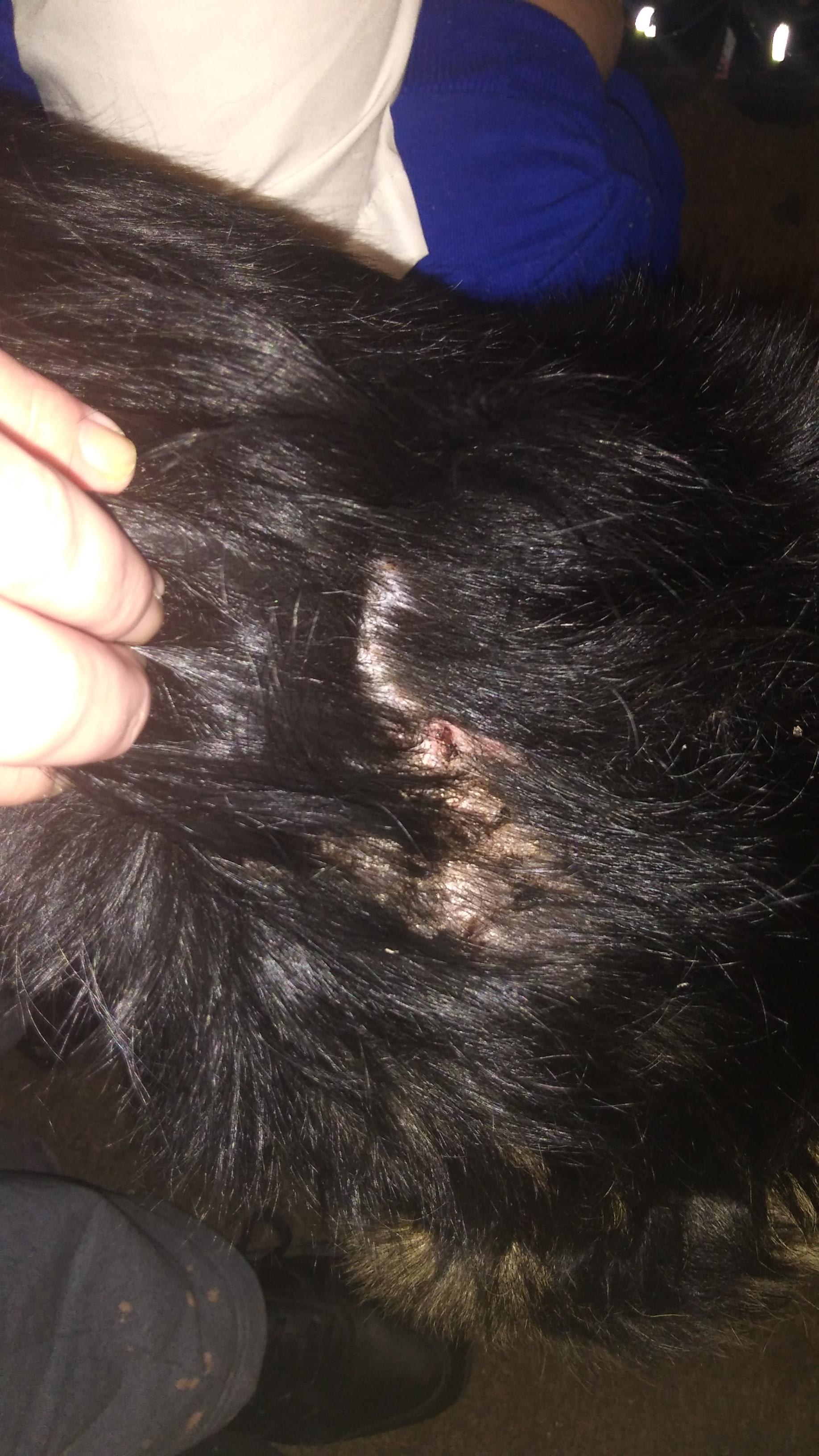 Question details sensitive content