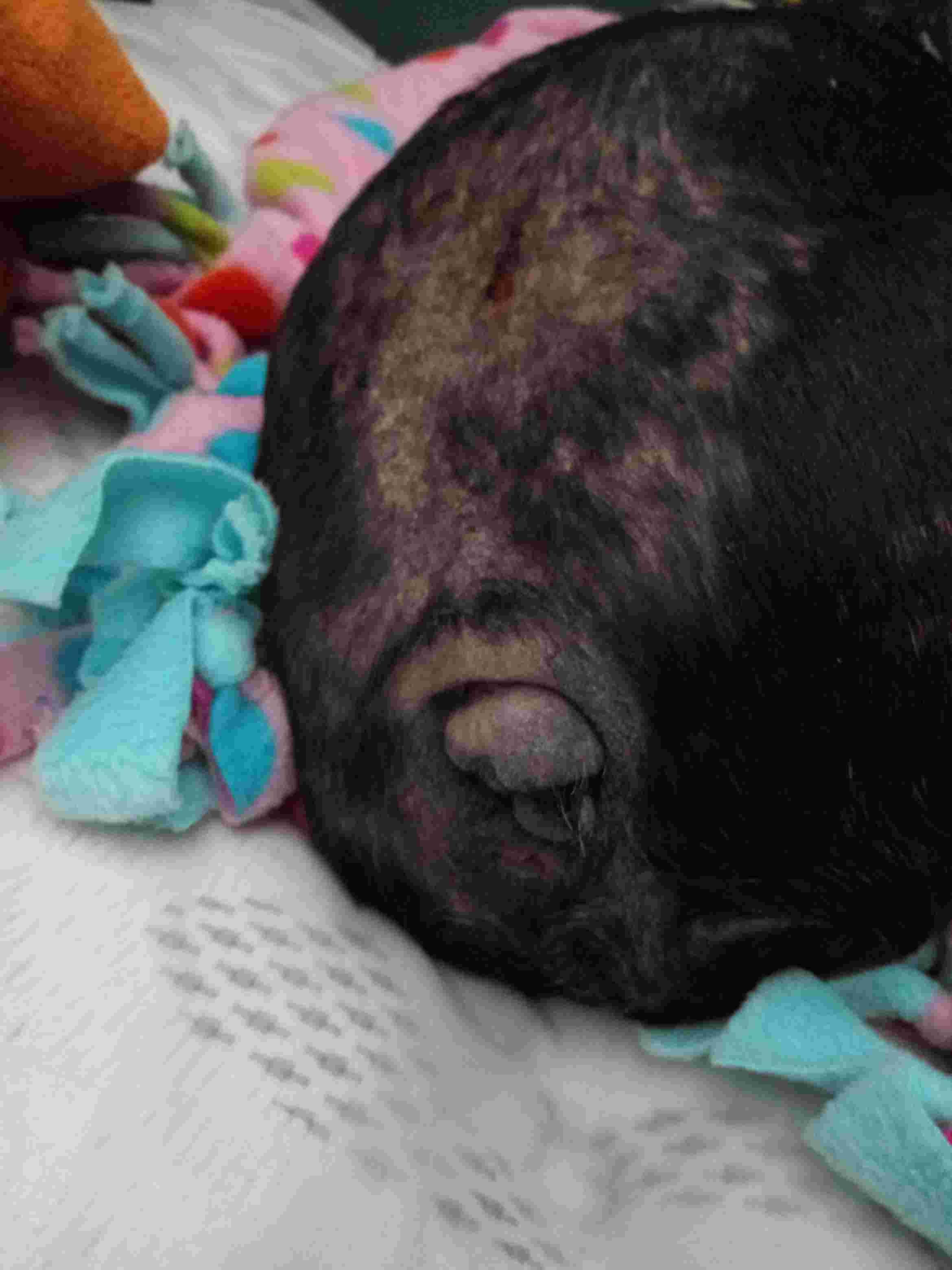 Question details sensitive content