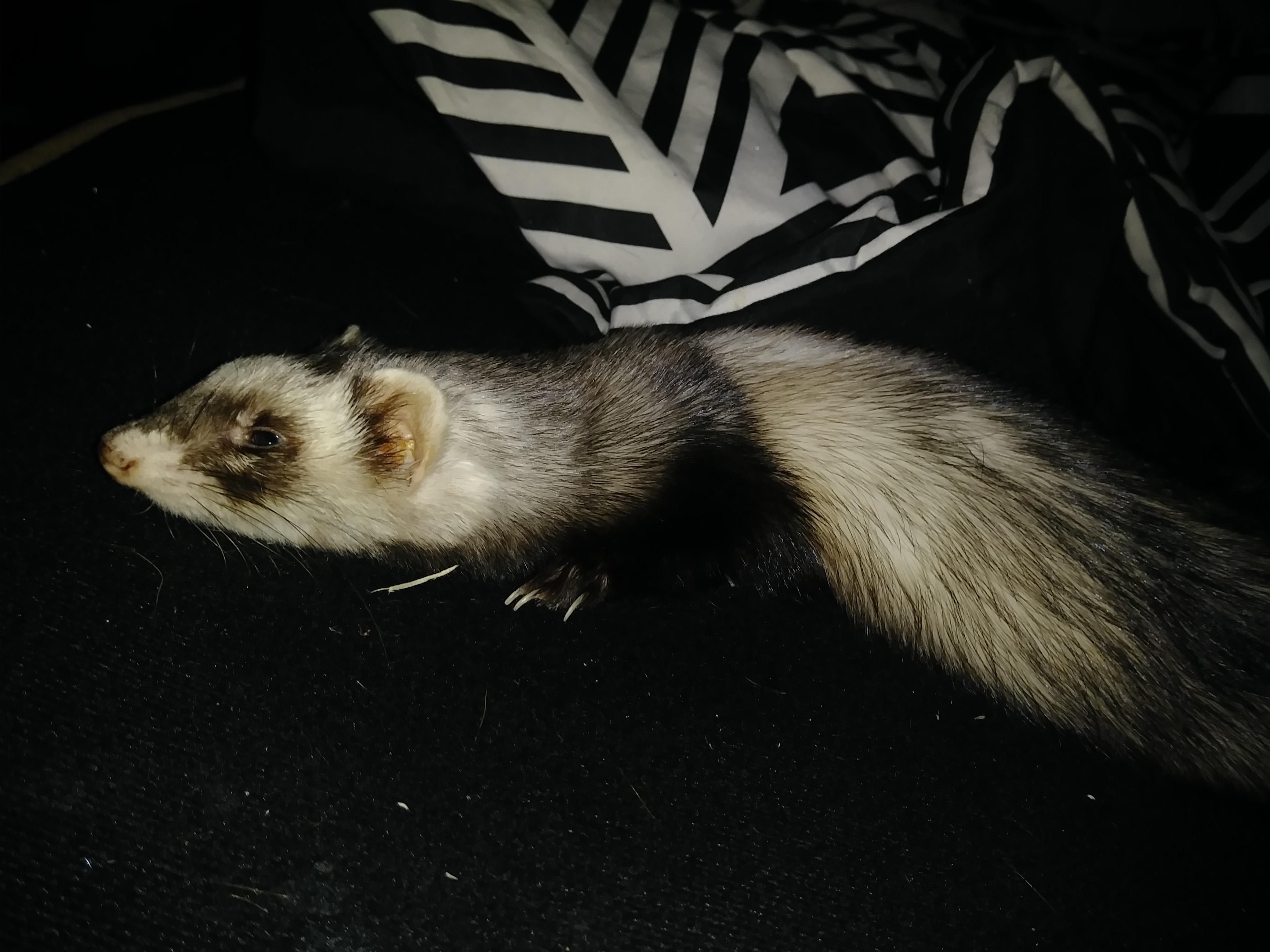 Question details sensitive content