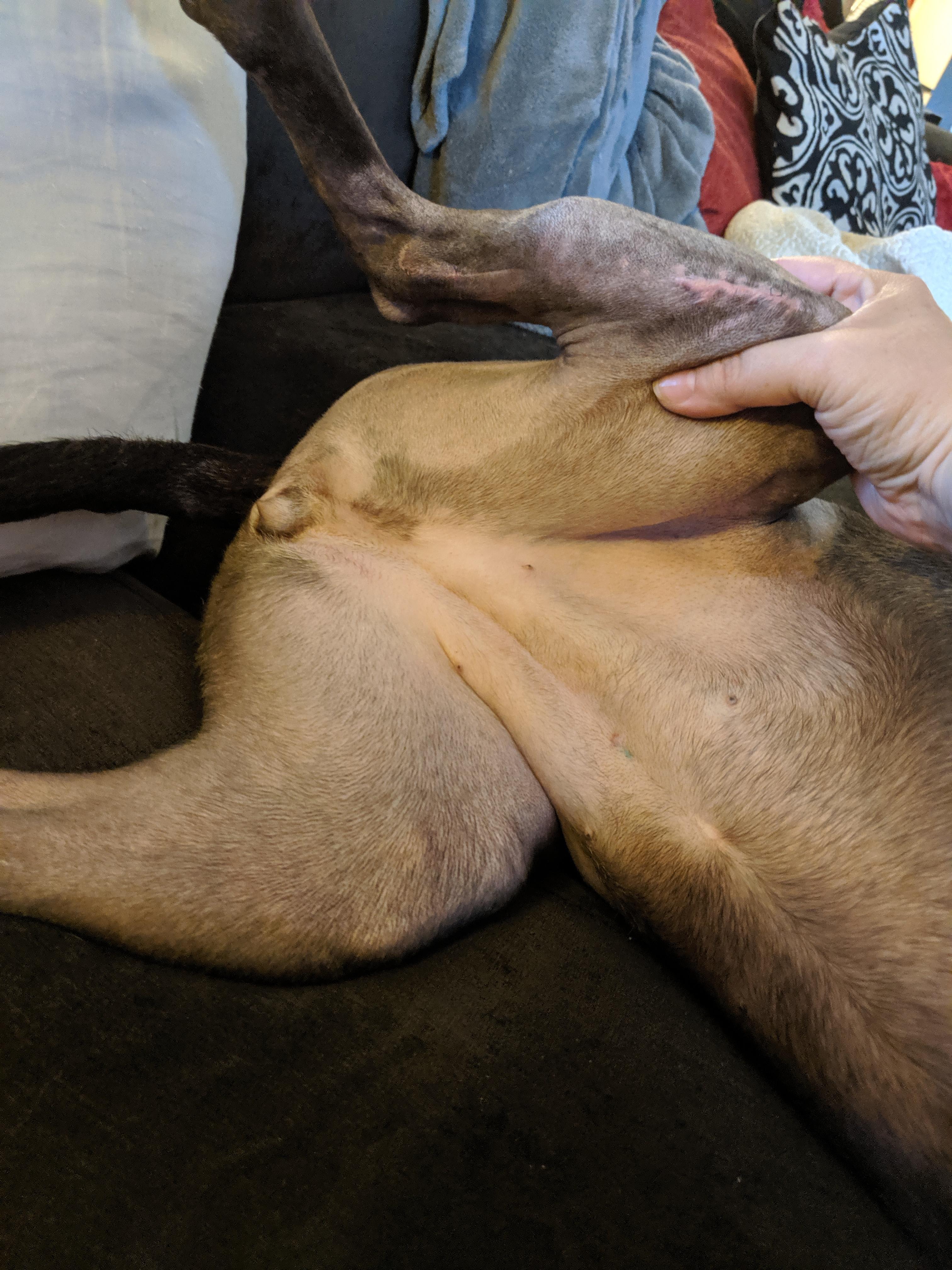 Question details sensitive content