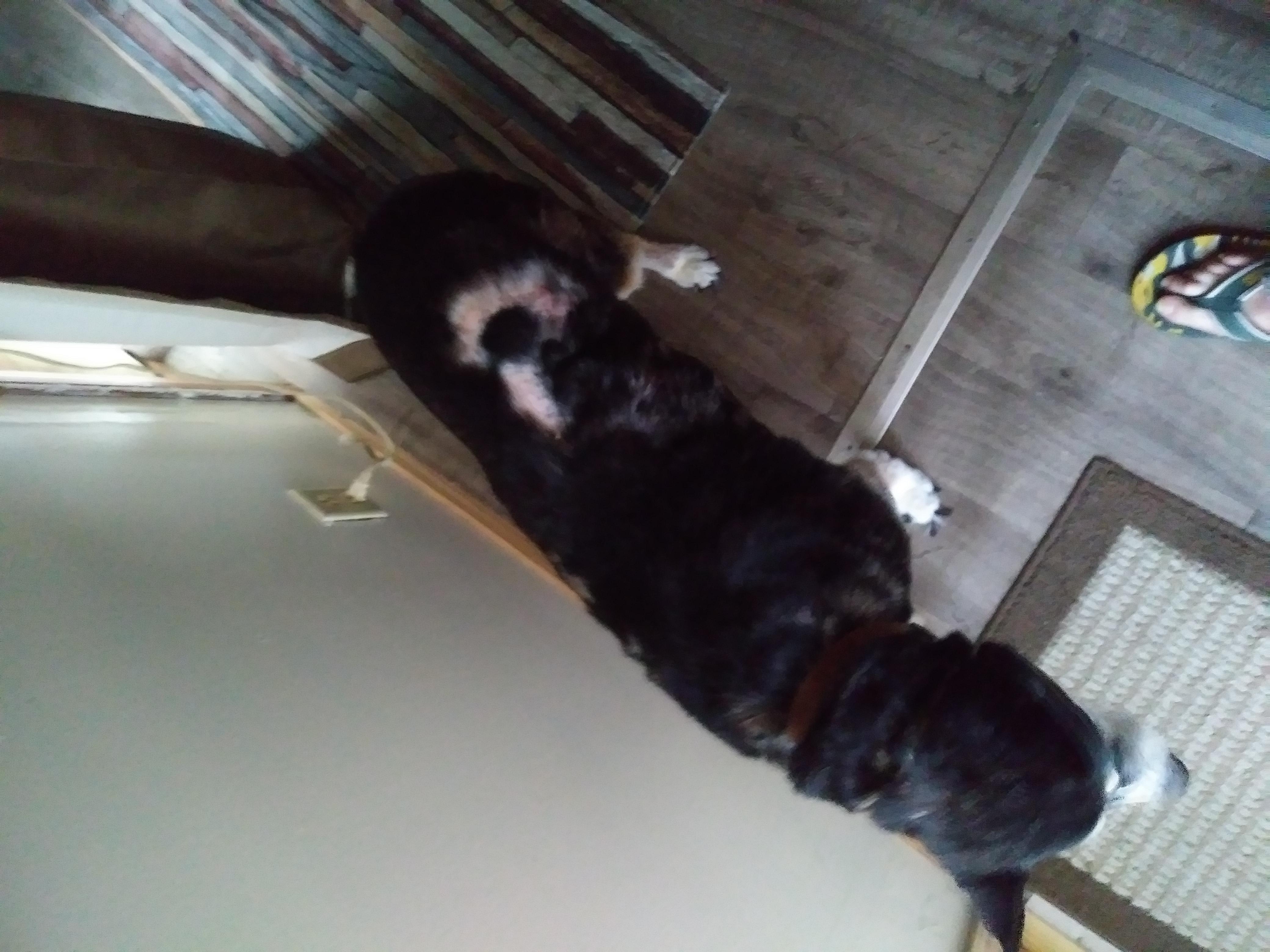 Question details sensitive content