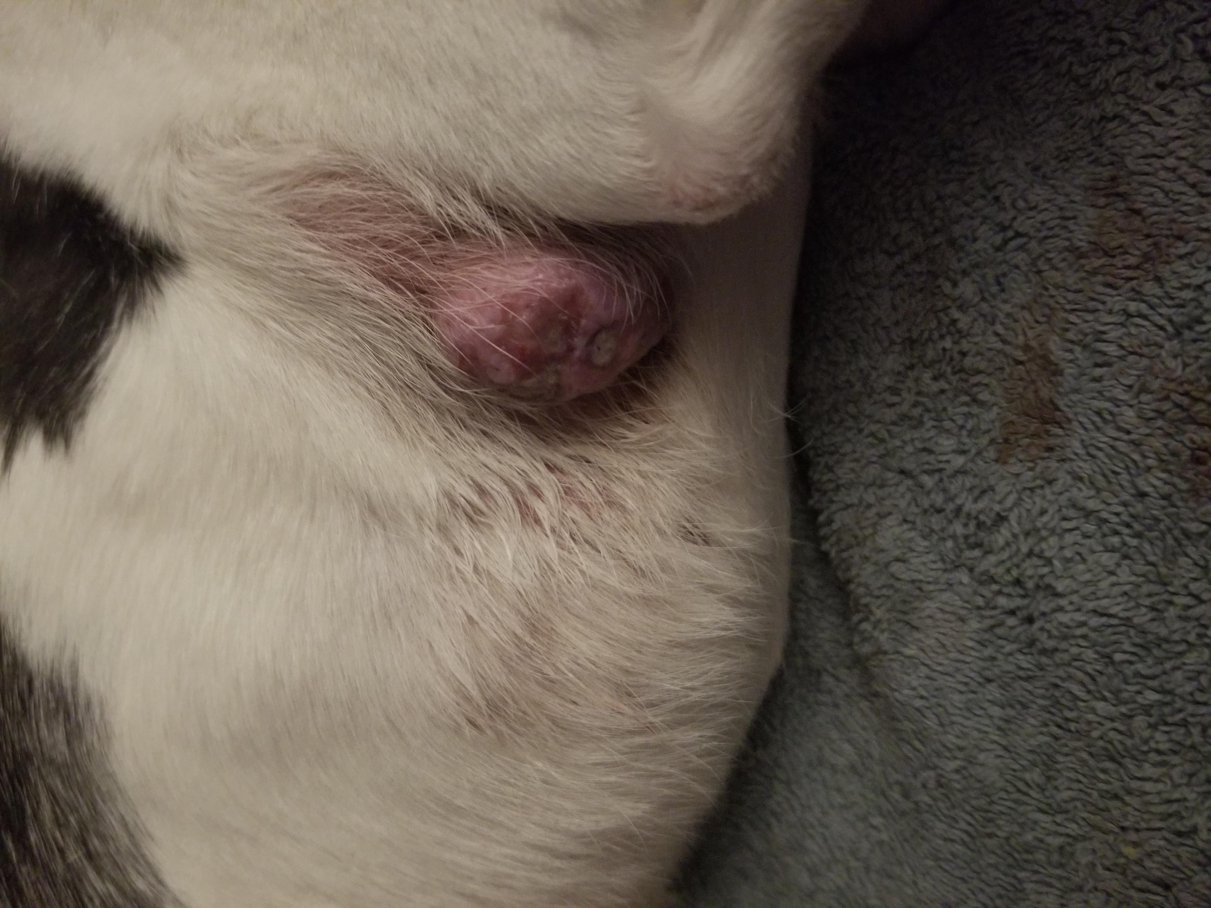 Question details sensitive content