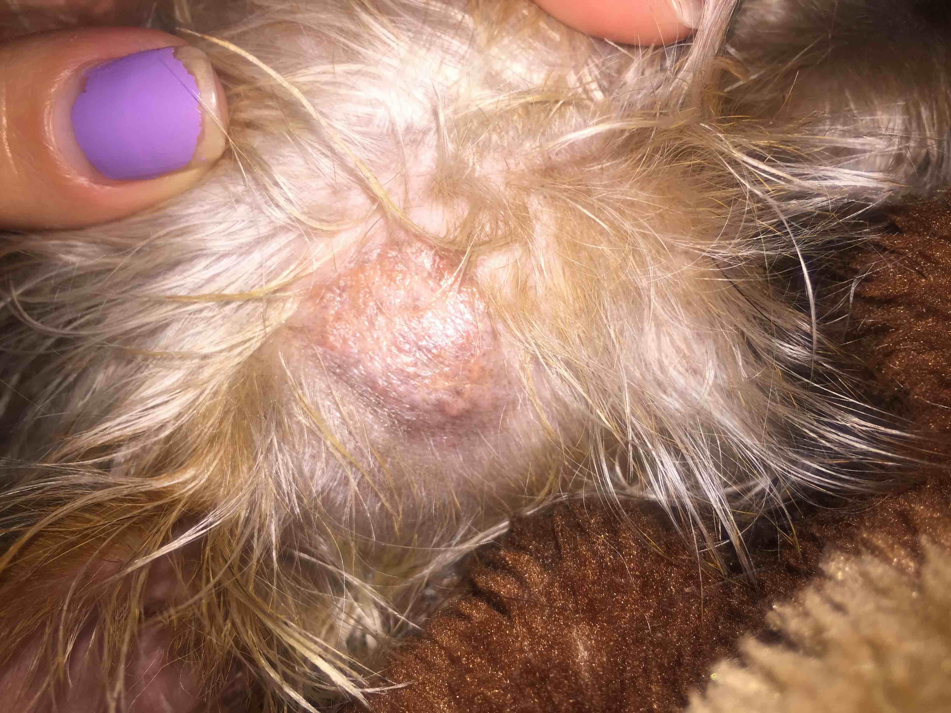 Question details sensitive content