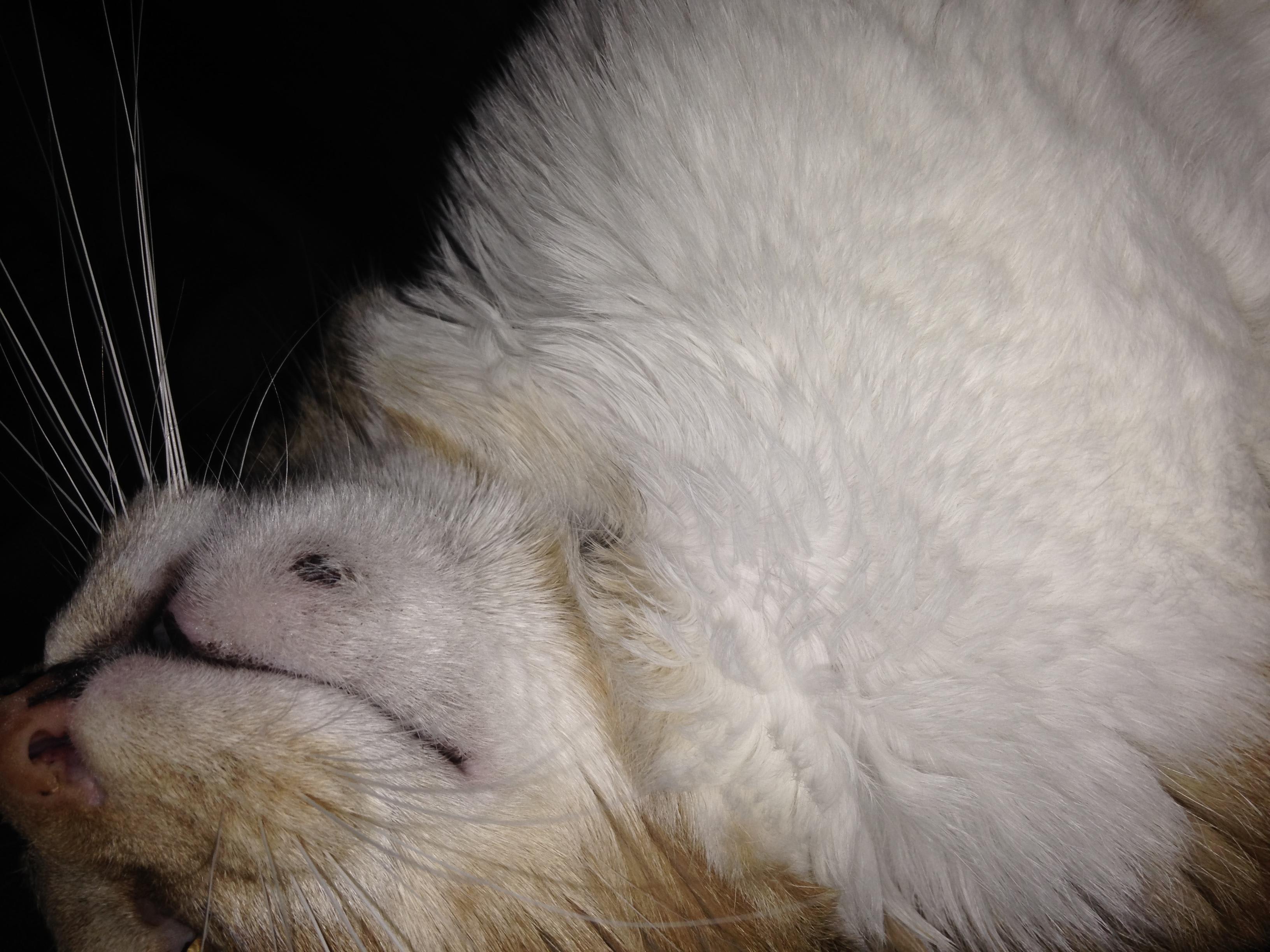 Question details sensitive content