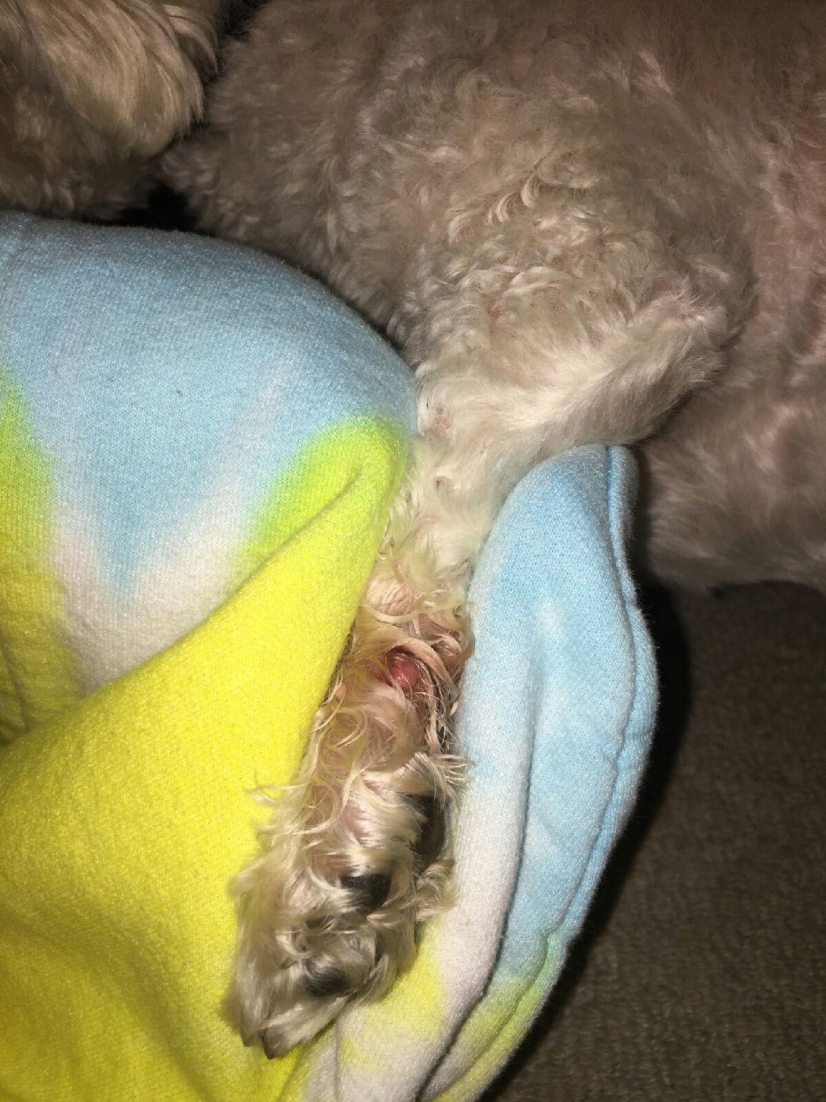 Question details sensitive content