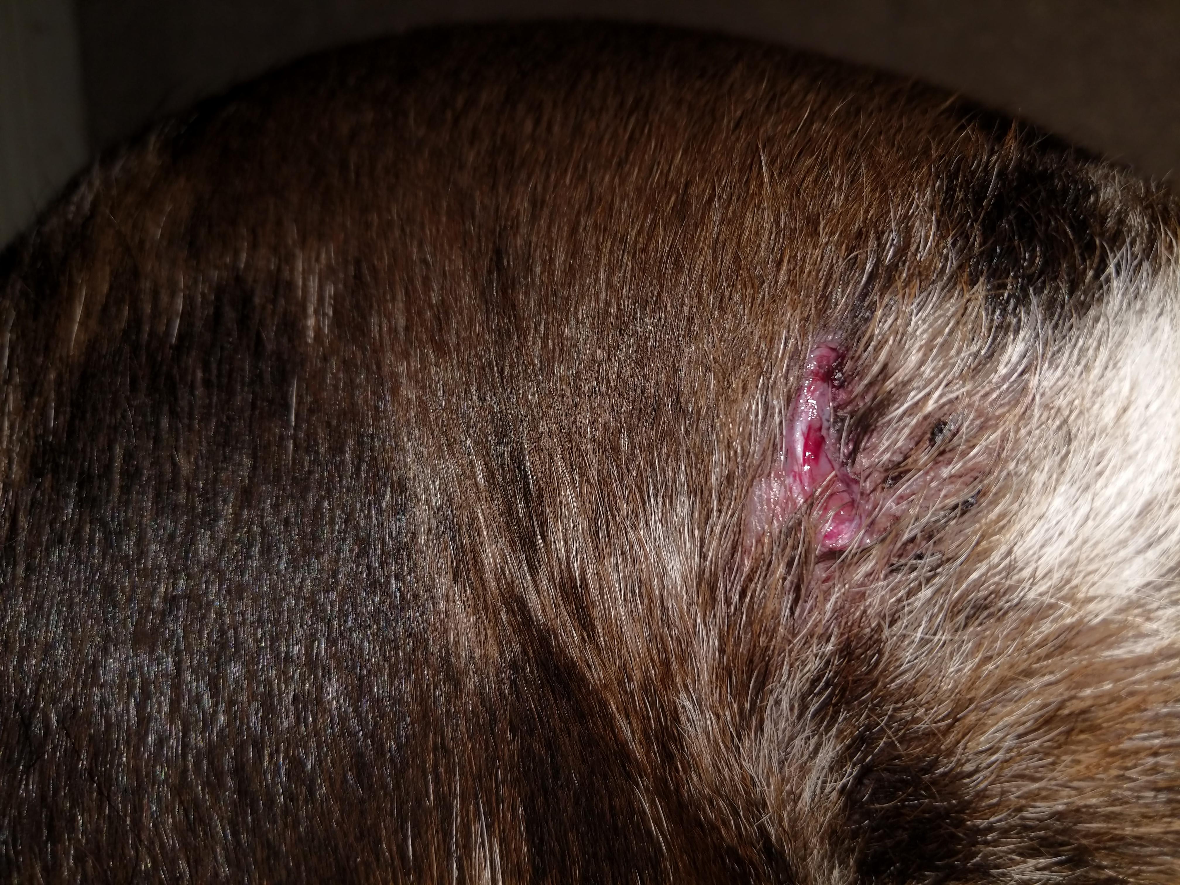 Question details sensitive content