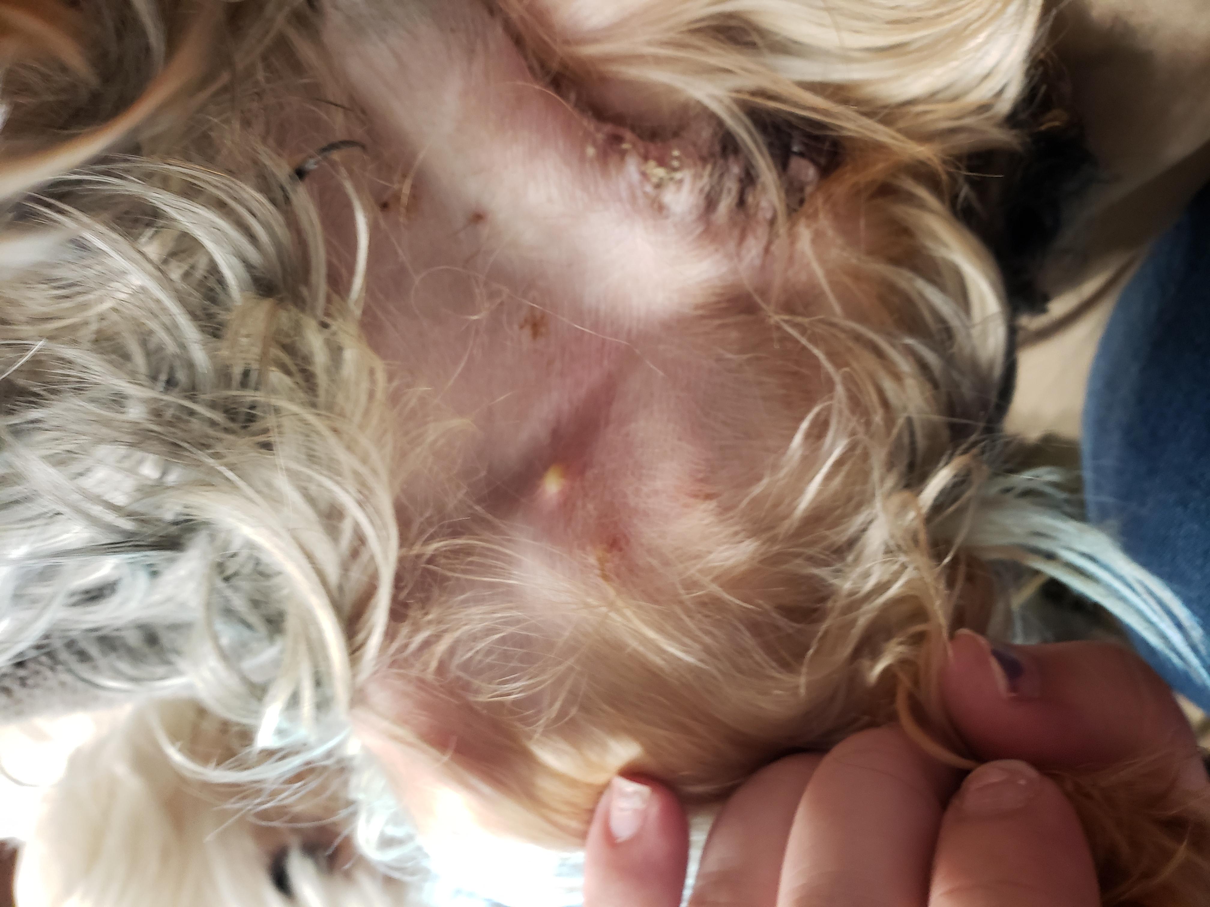 Question details sensitive content