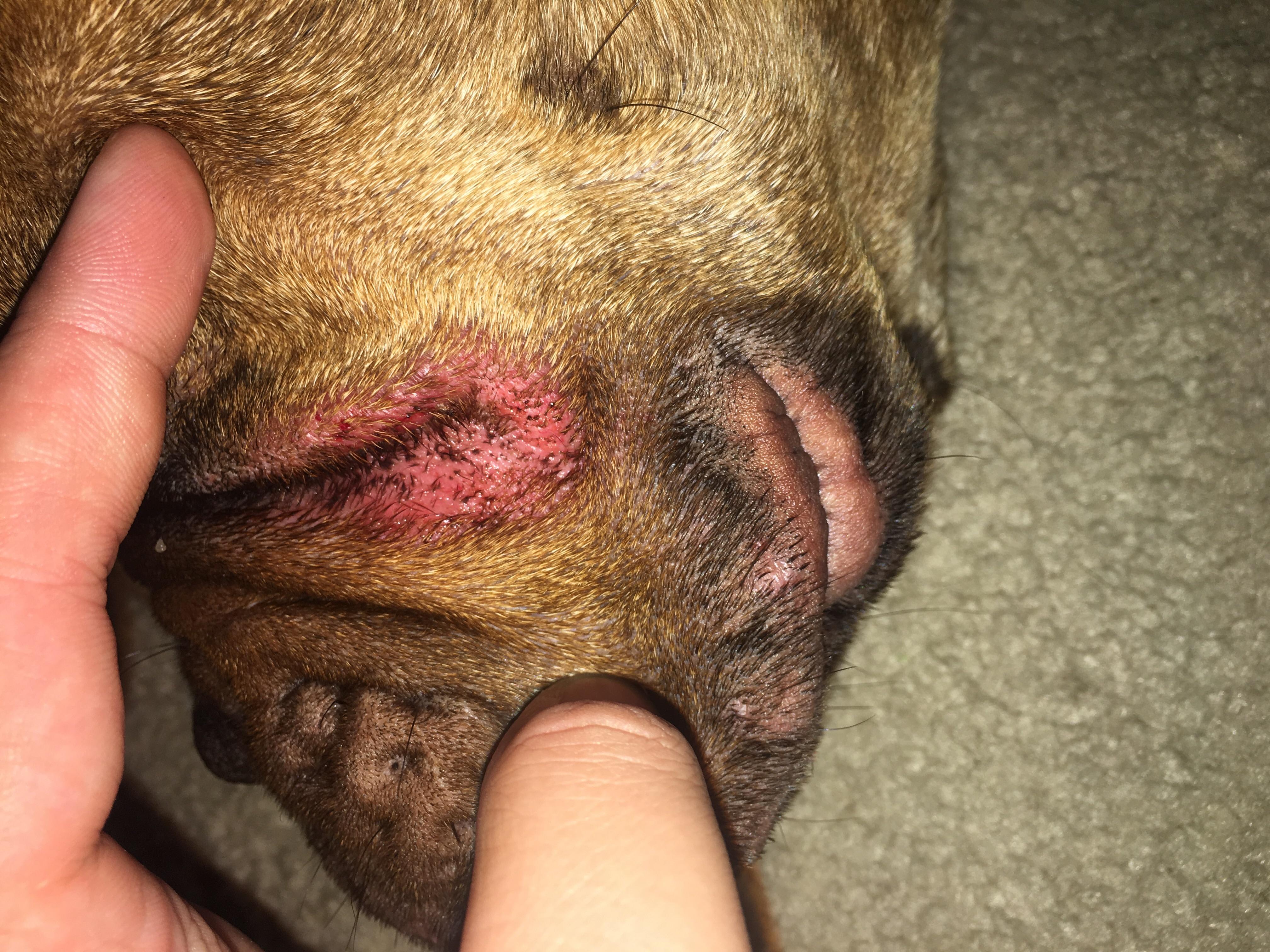 Question details sensitive content