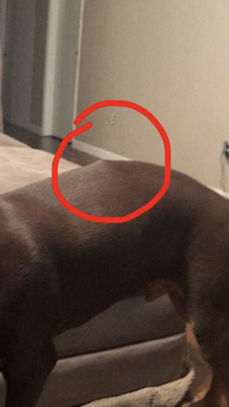 Question details sensitive content