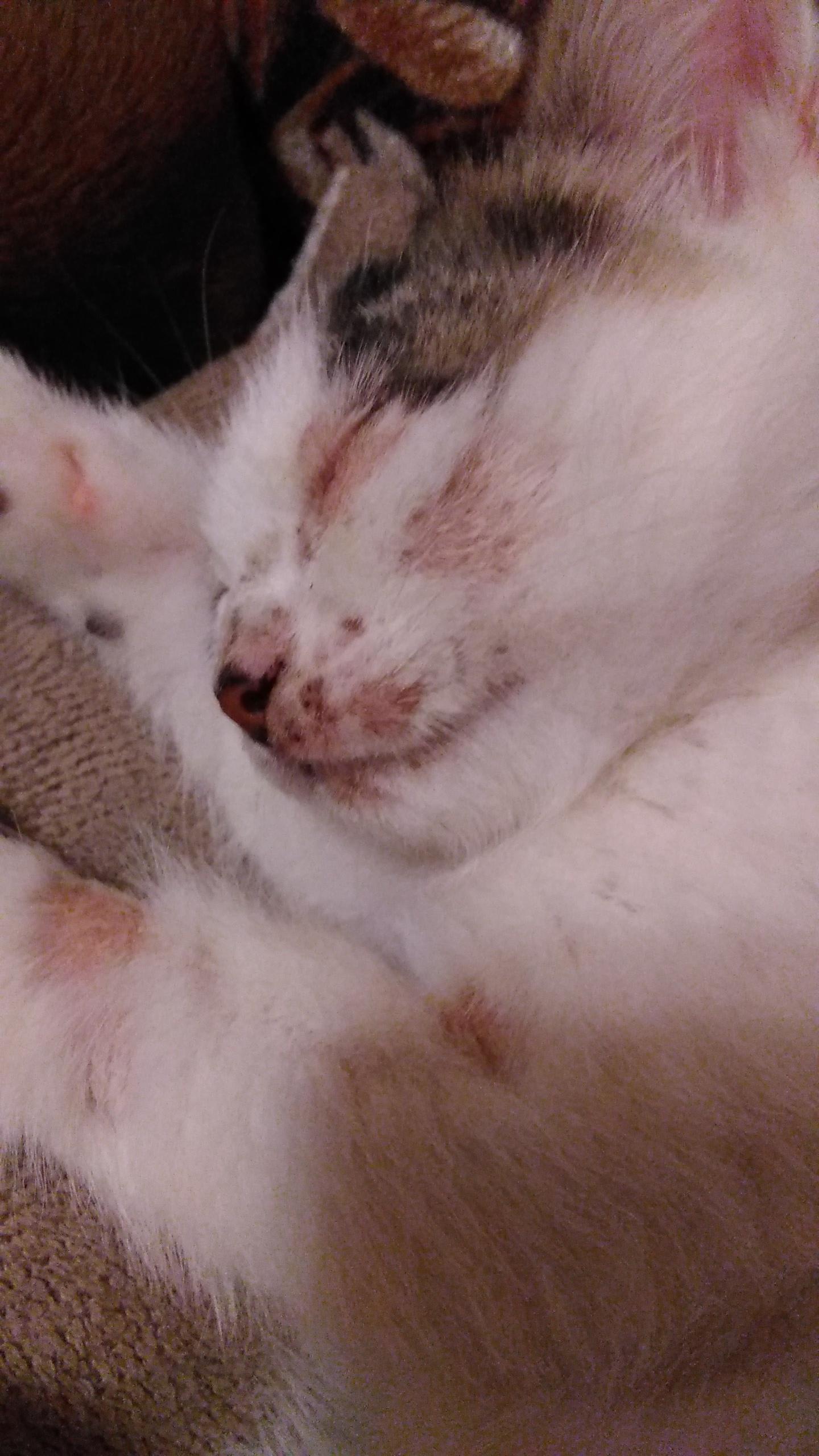 Question details sensitive content