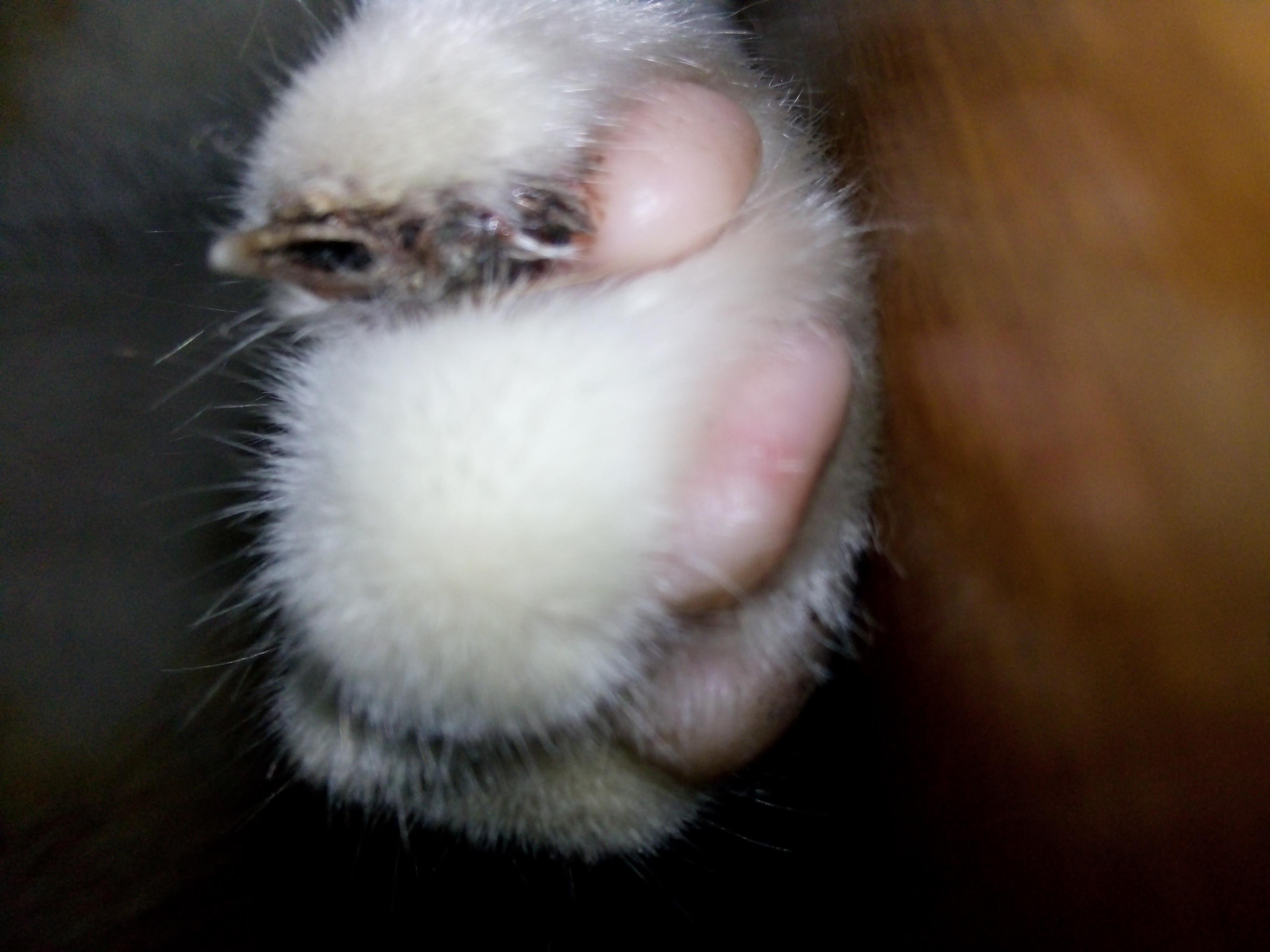 Question details sensitive content