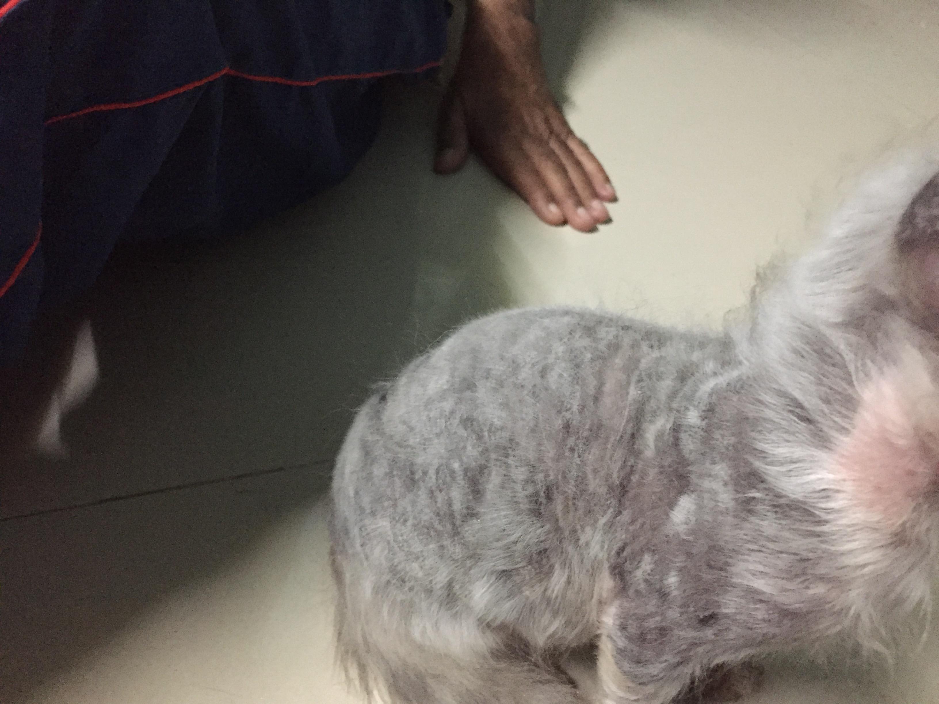 Question details sensitive content