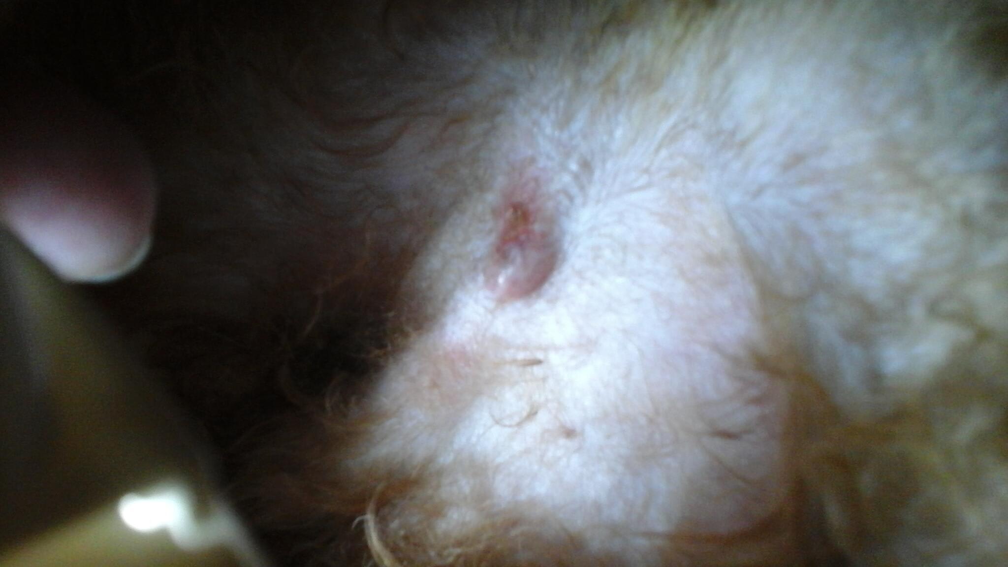 Question details sensitive content