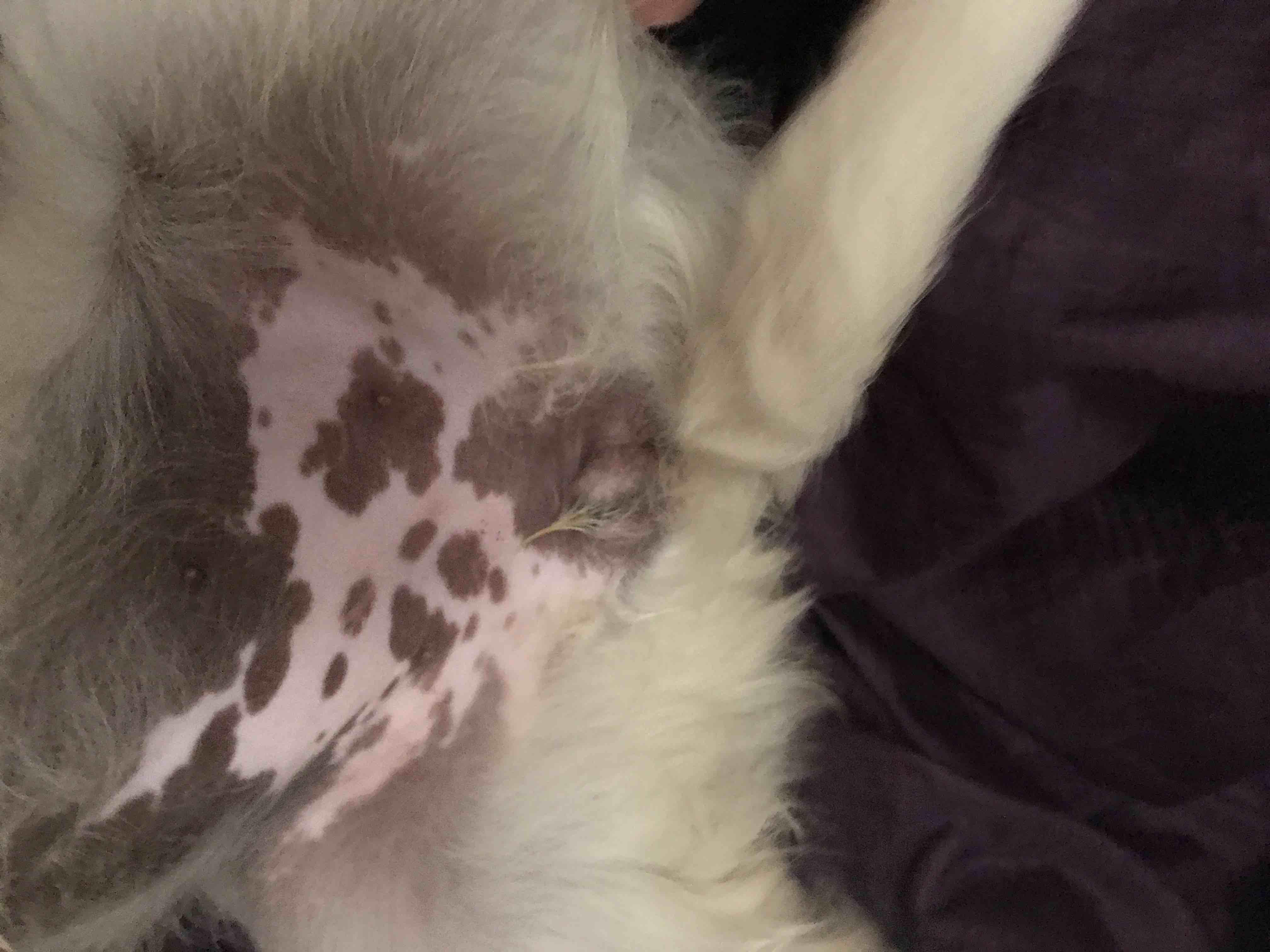 Question details sensitive content