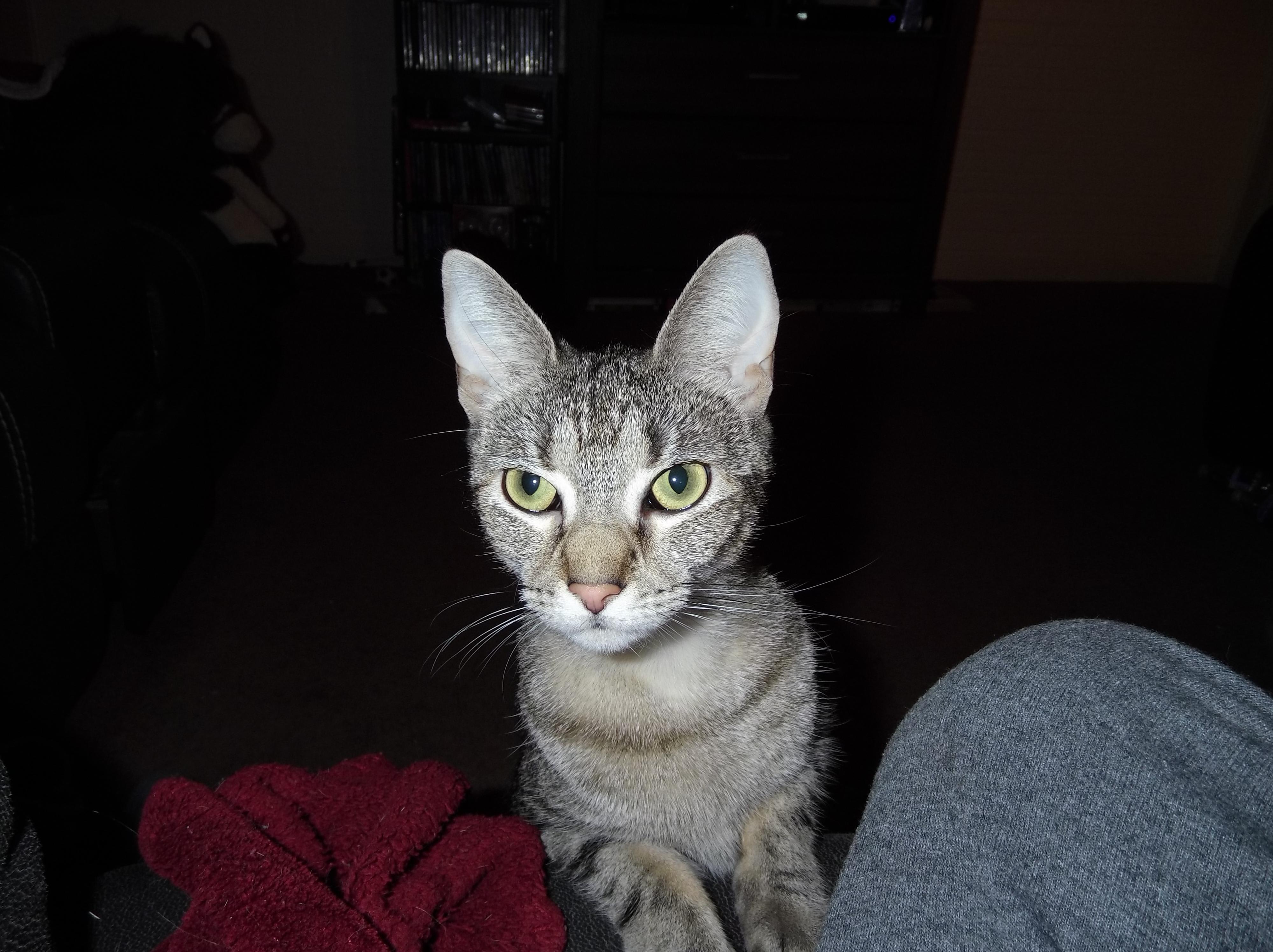 Question details sensitive content