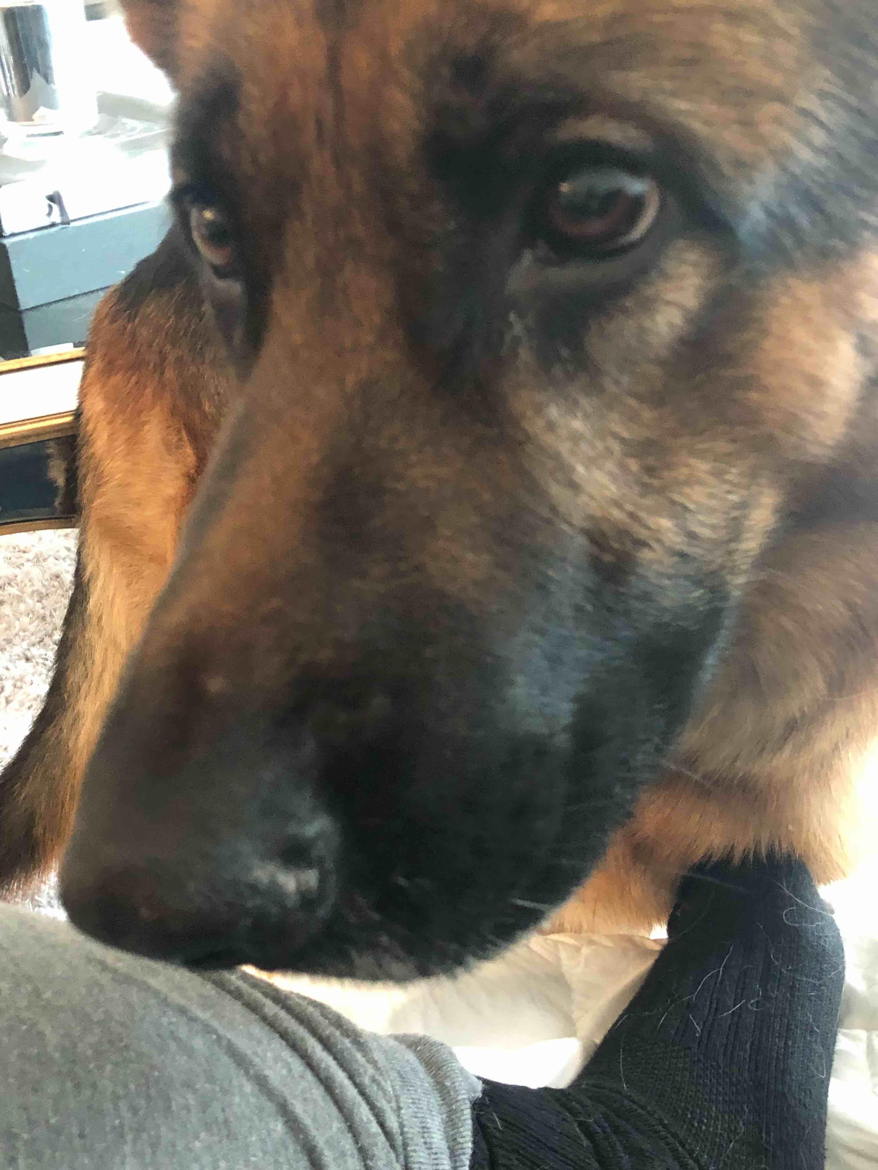 Question details sensitive content